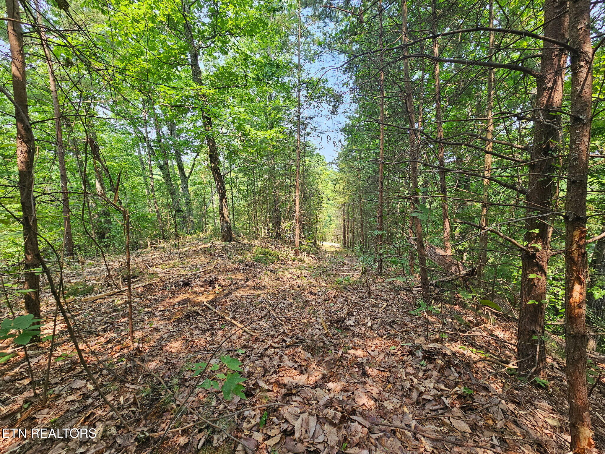 Sharp Road Sevierville TN 37876