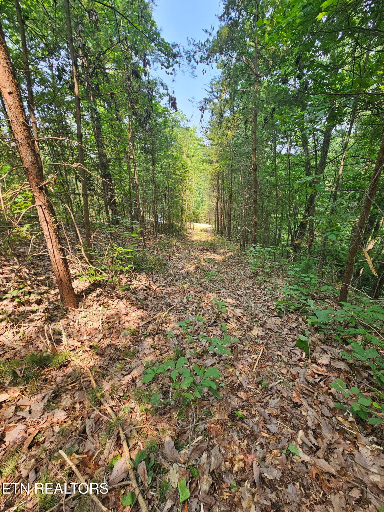 Sharp Road Sevierville TN 37876