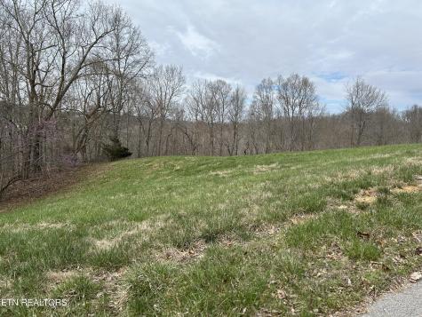 Lot 260-B Marble Point Way New Tazewell TN 37825