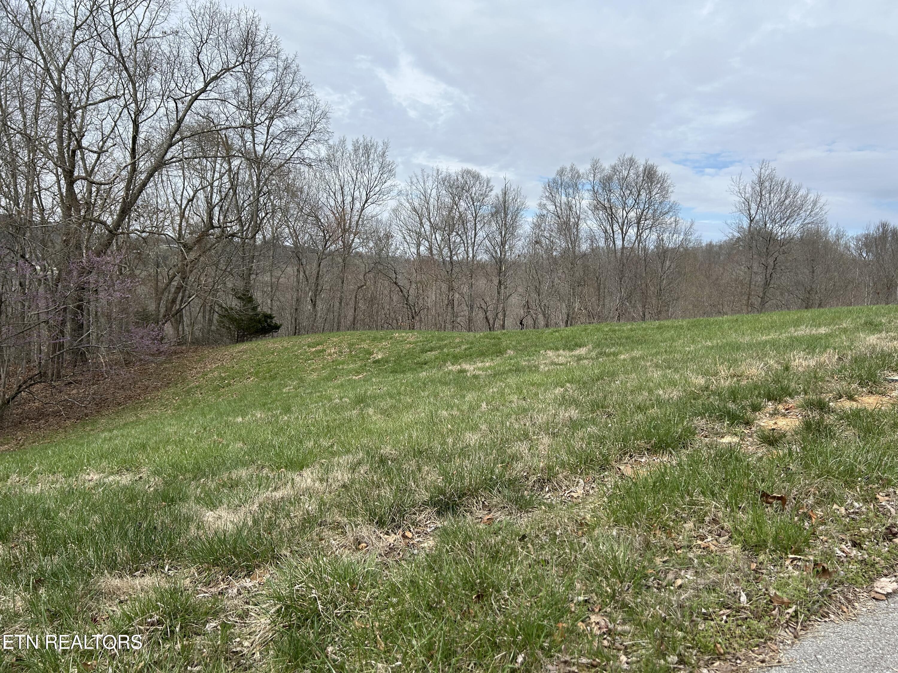 Lot 260-b Marble Point Way New Tazewell TN 37825
