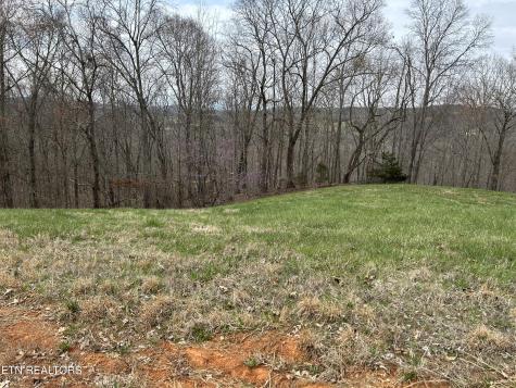Lot 260-B Marble Point Way New Tazewell TN 37825