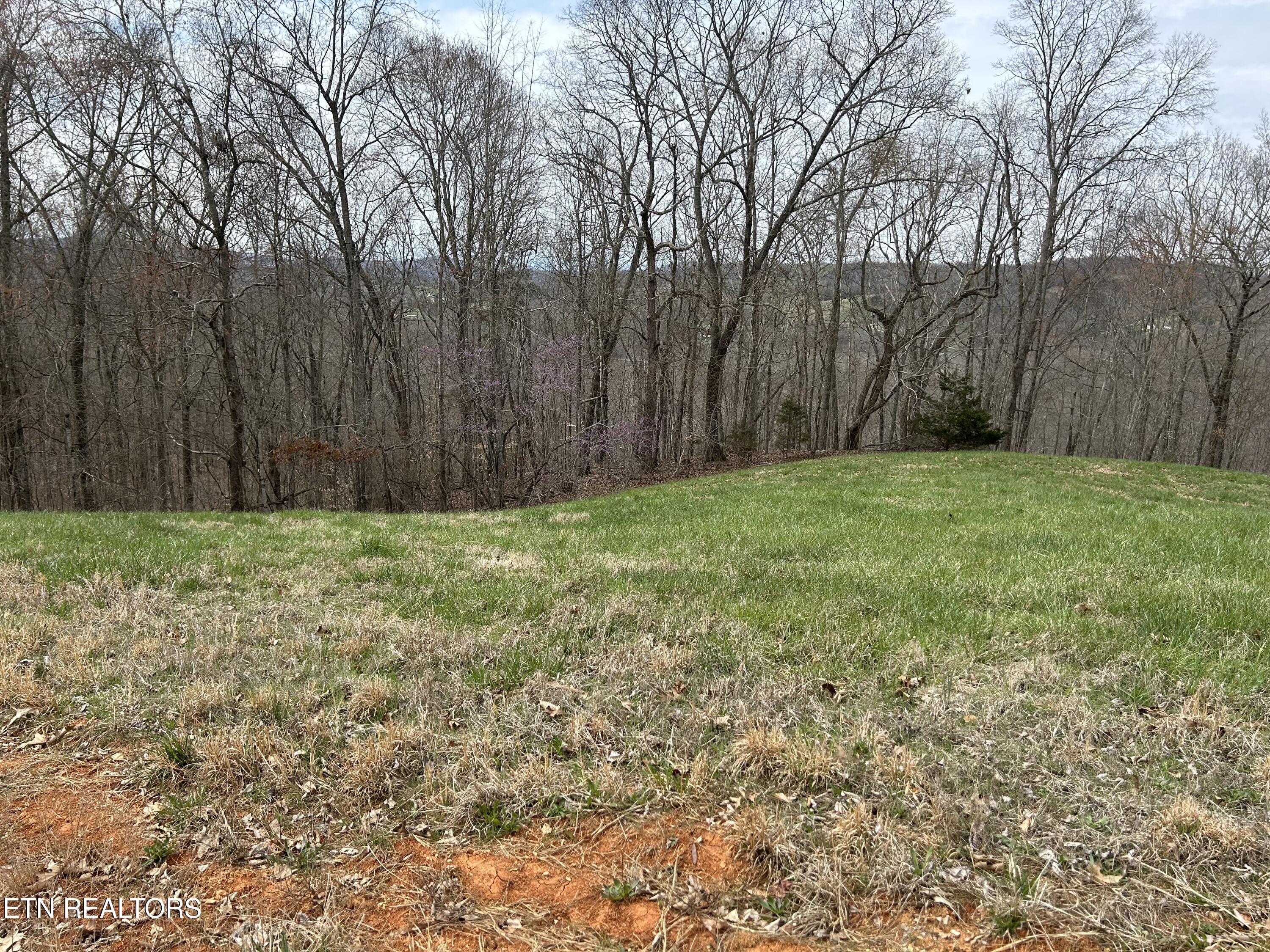 Lot 260-b Marble Point Way New Tazewell TN 37825