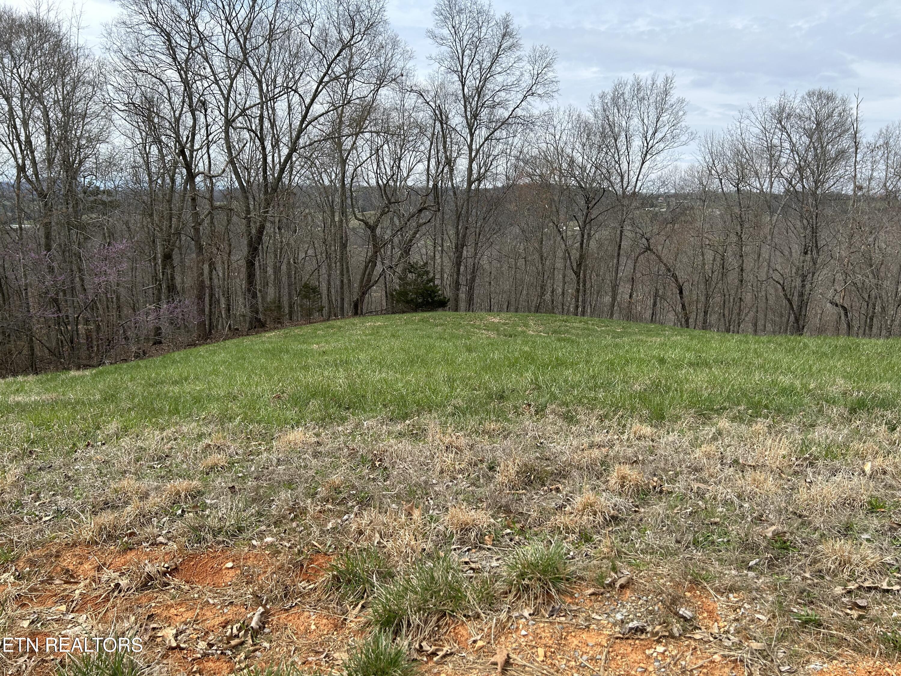 Lot 260-b Marble Point Way New Tazewell TN 37825