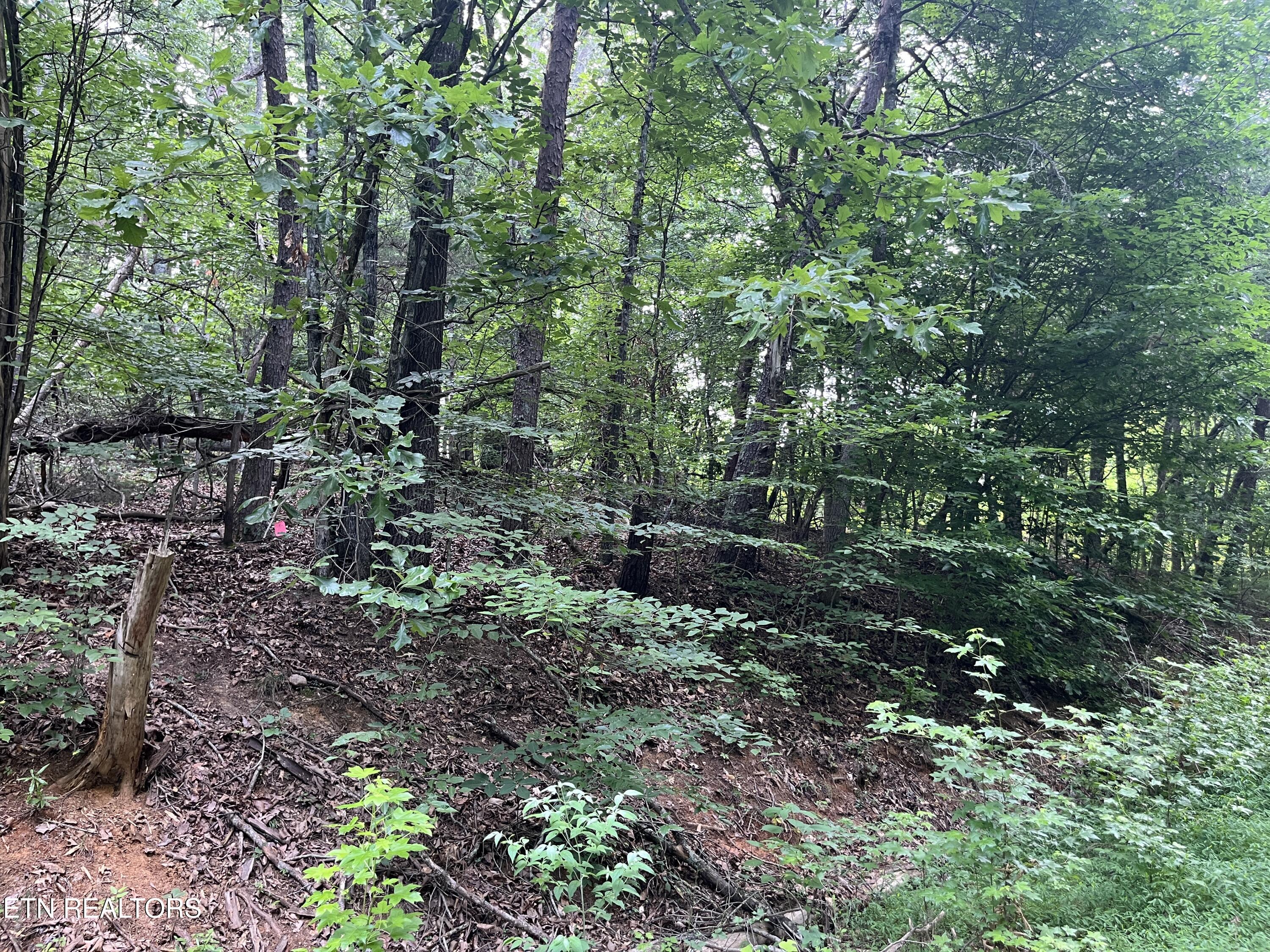 3278 Hillside Road White Pine TN 37890