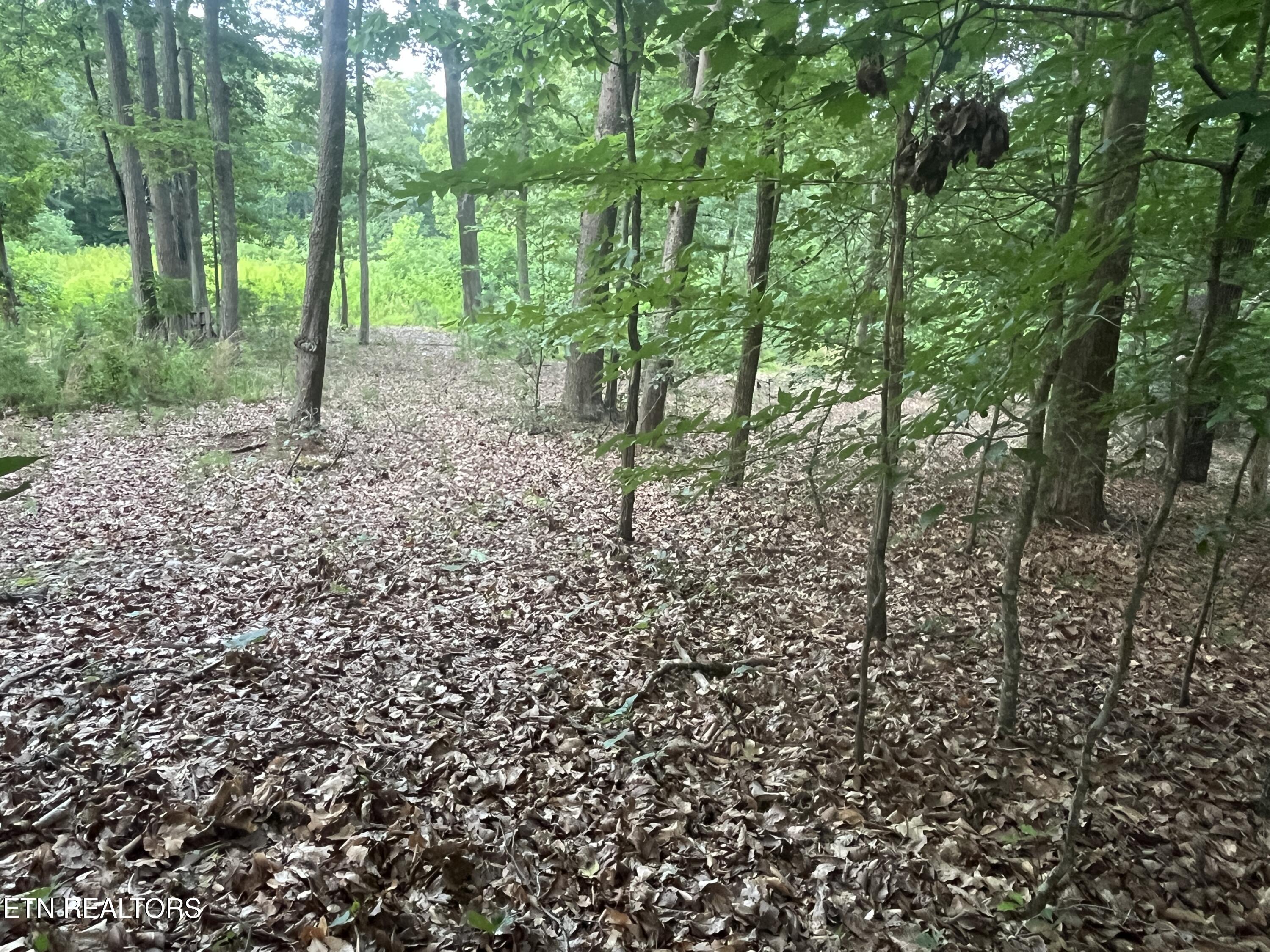 3278 Hillside Road White Pine TN 37890