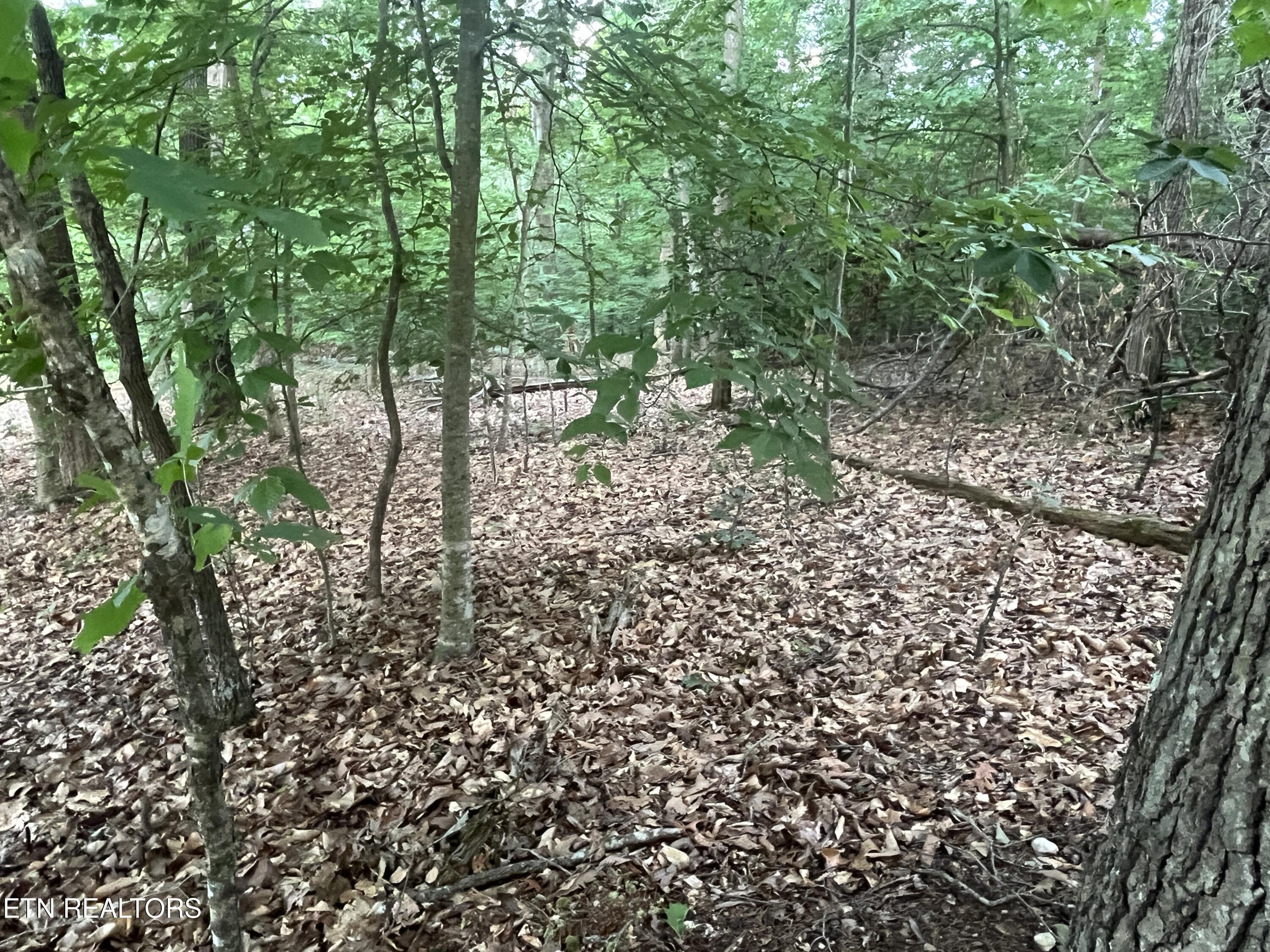 3278 Hillside Road White Pine TN 37890