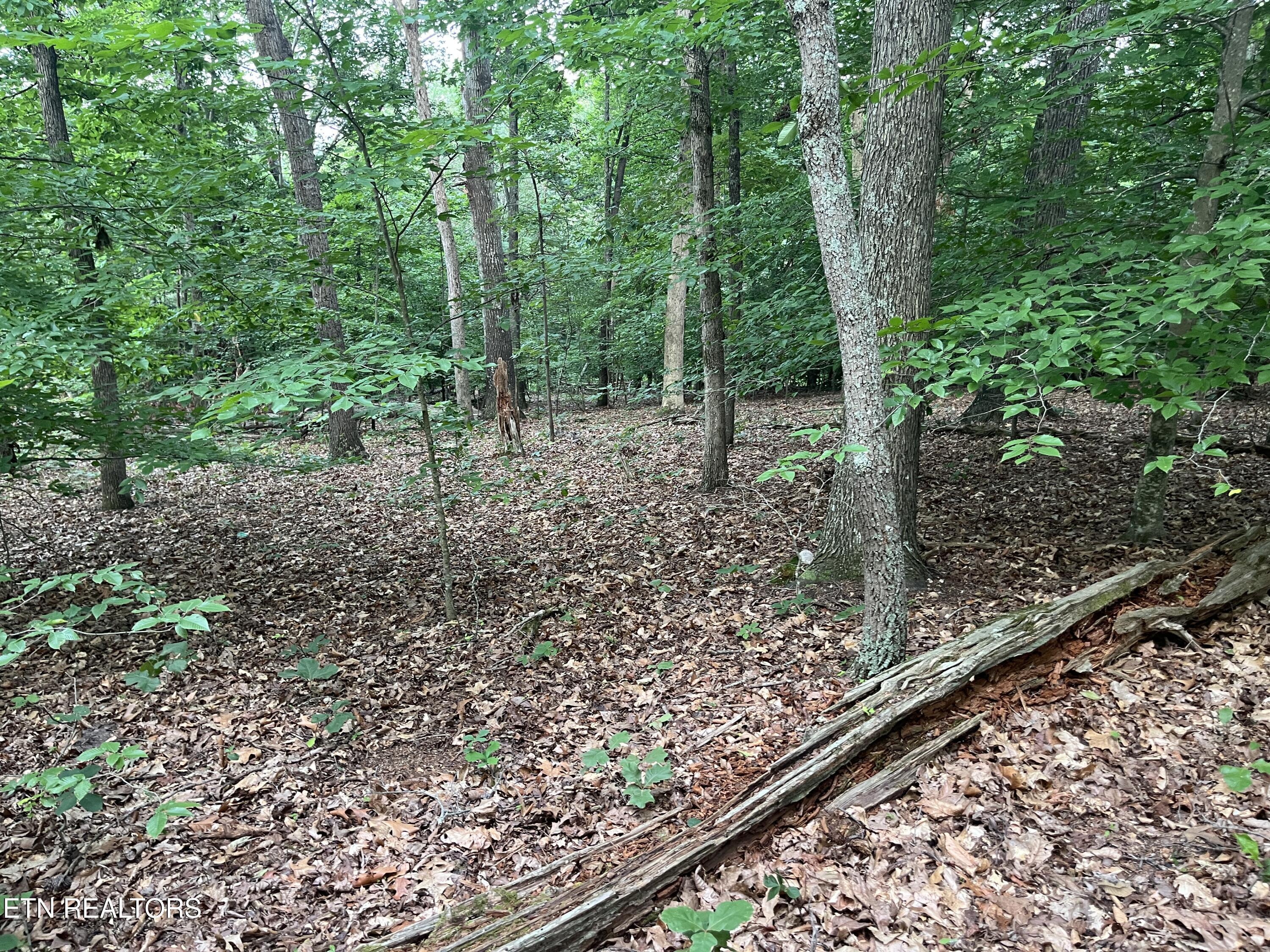 3278 Hillside Road White Pine TN 37890