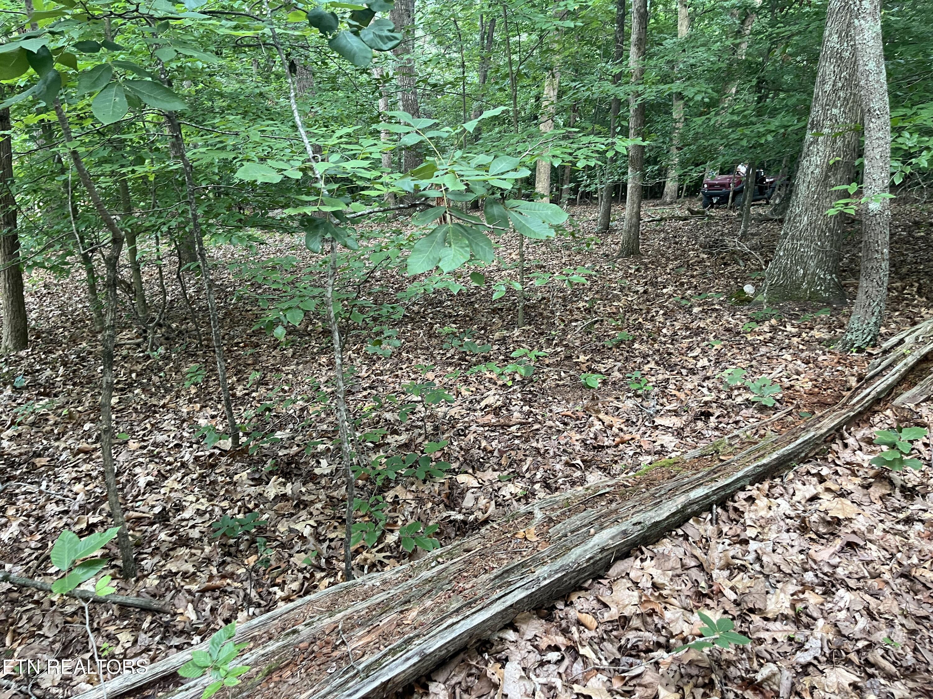 3278 Hillside Road White Pine TN 37890