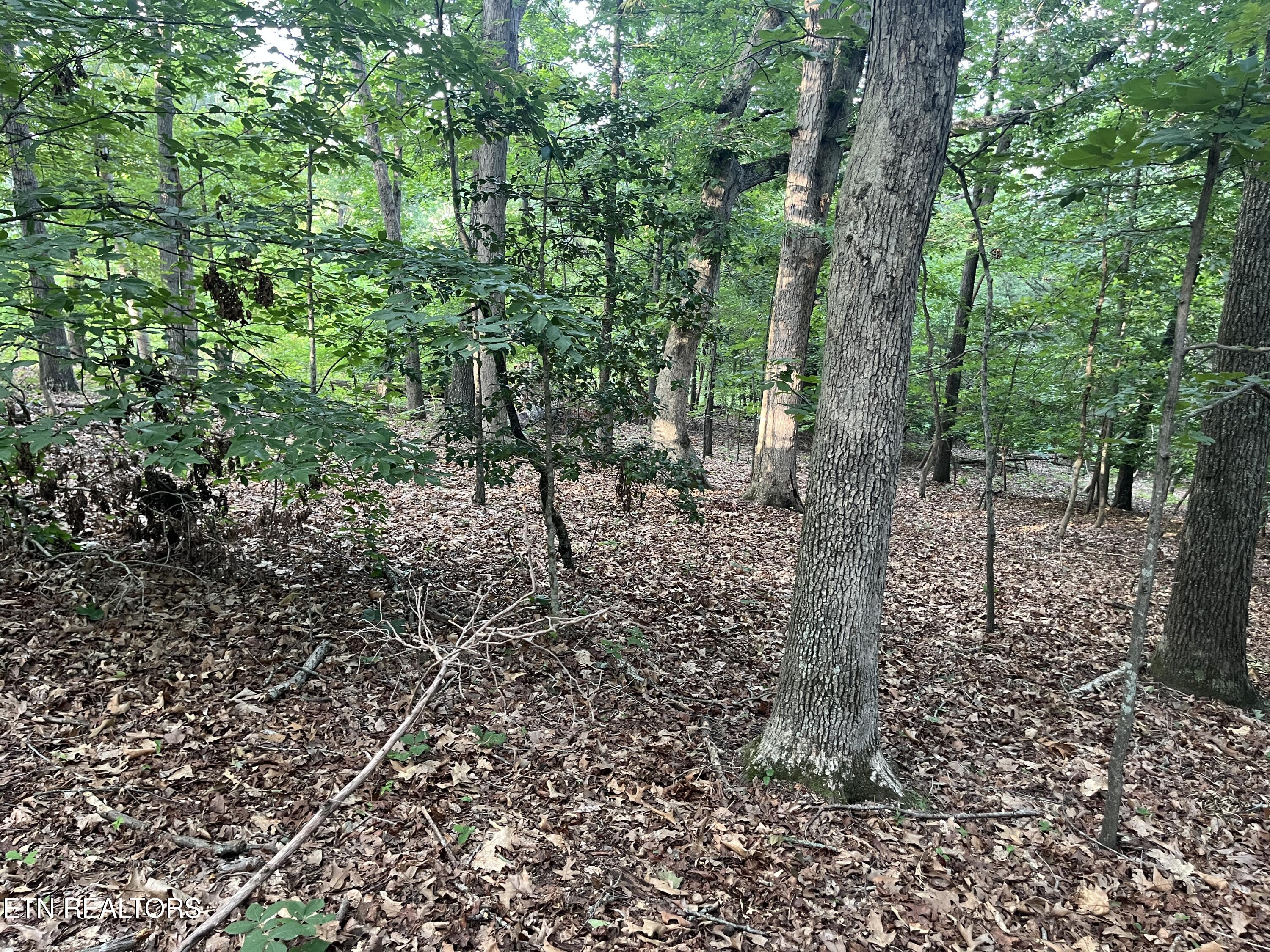 3278 Hillside Road White Pine TN 37890