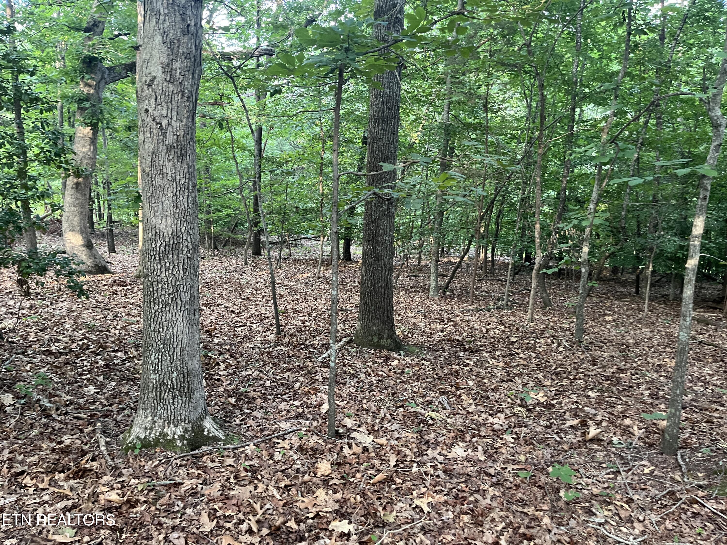 3278 Hillside Road White Pine TN 37890