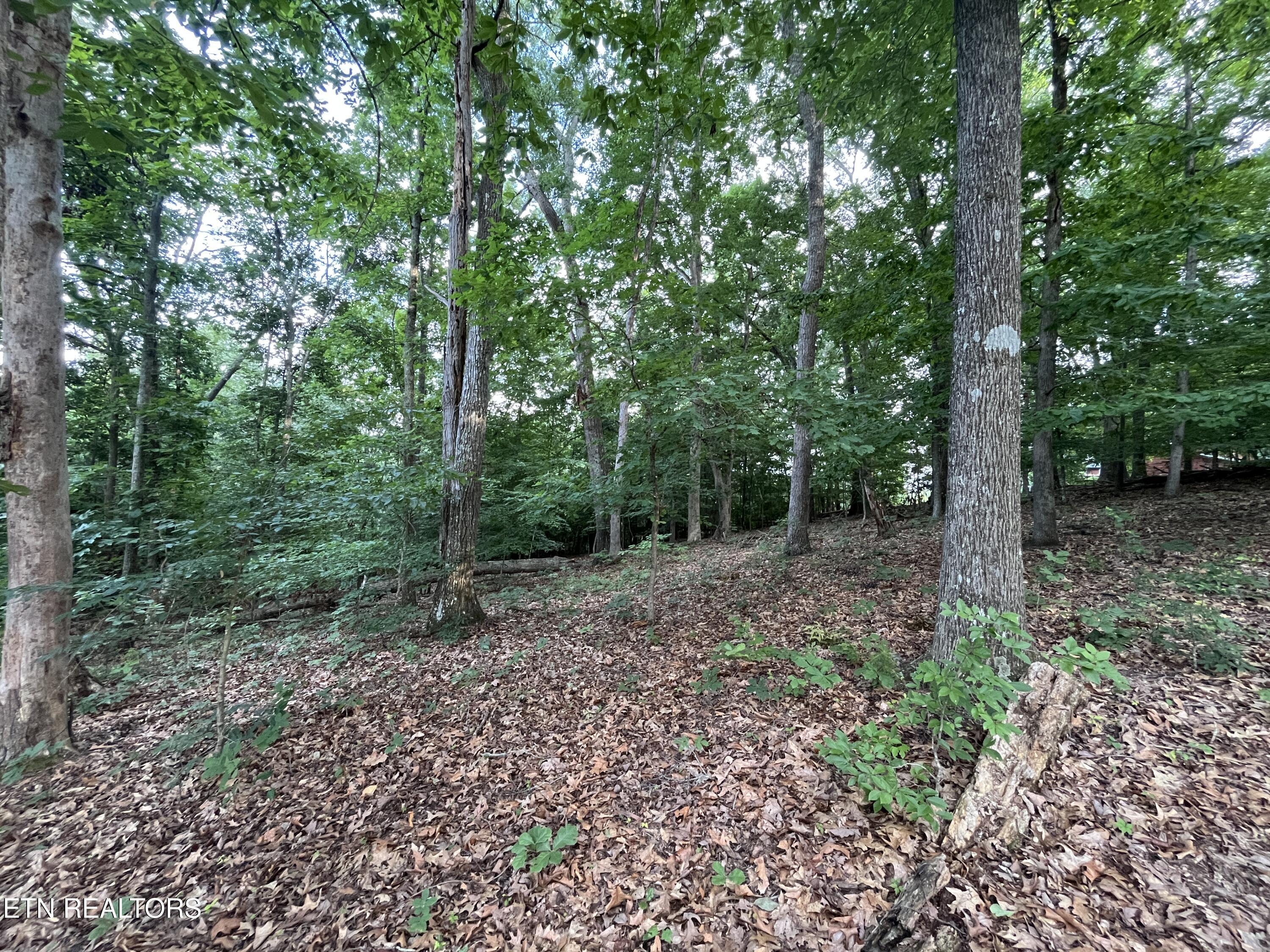 3278 Hillside Road White Pine TN 37890