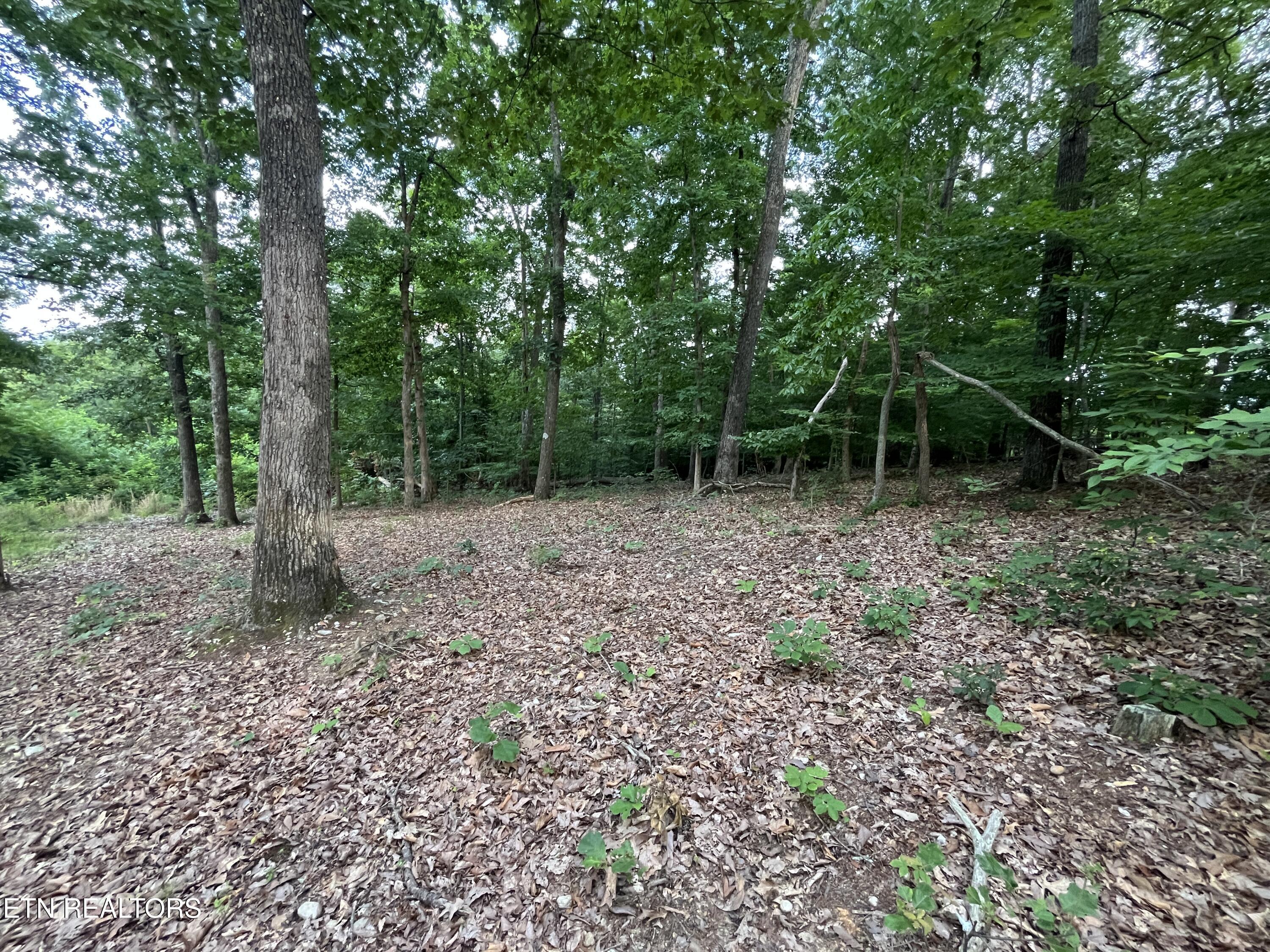 3278 Hillside Road White Pine TN 37890