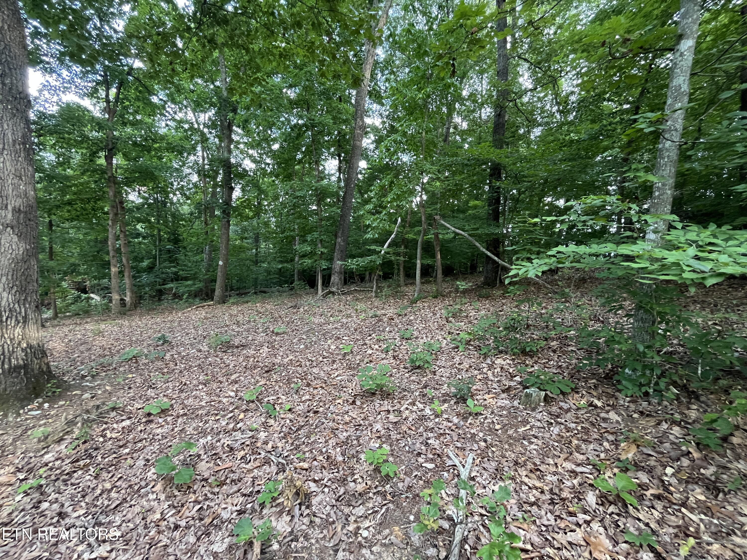 3278 Hillside Road White Pine TN 37890