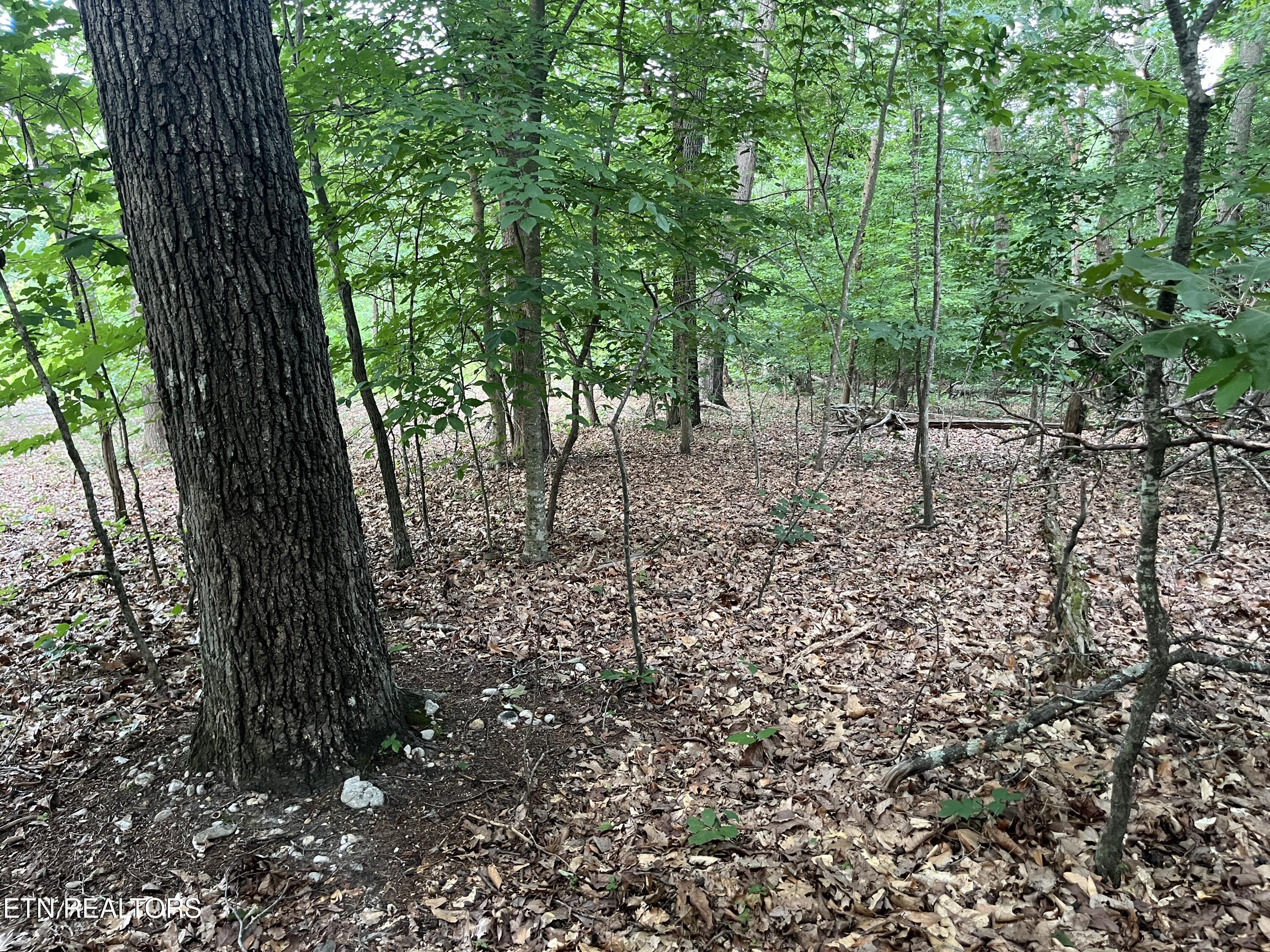 3278 Hillside Road White Pine TN 37890