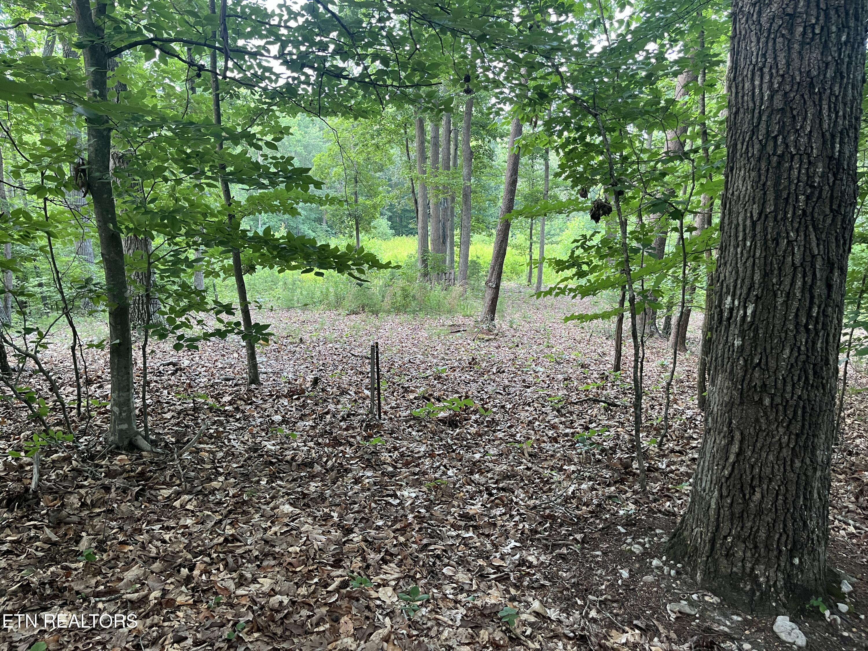 3278 Hillside Road White Pine TN 37890