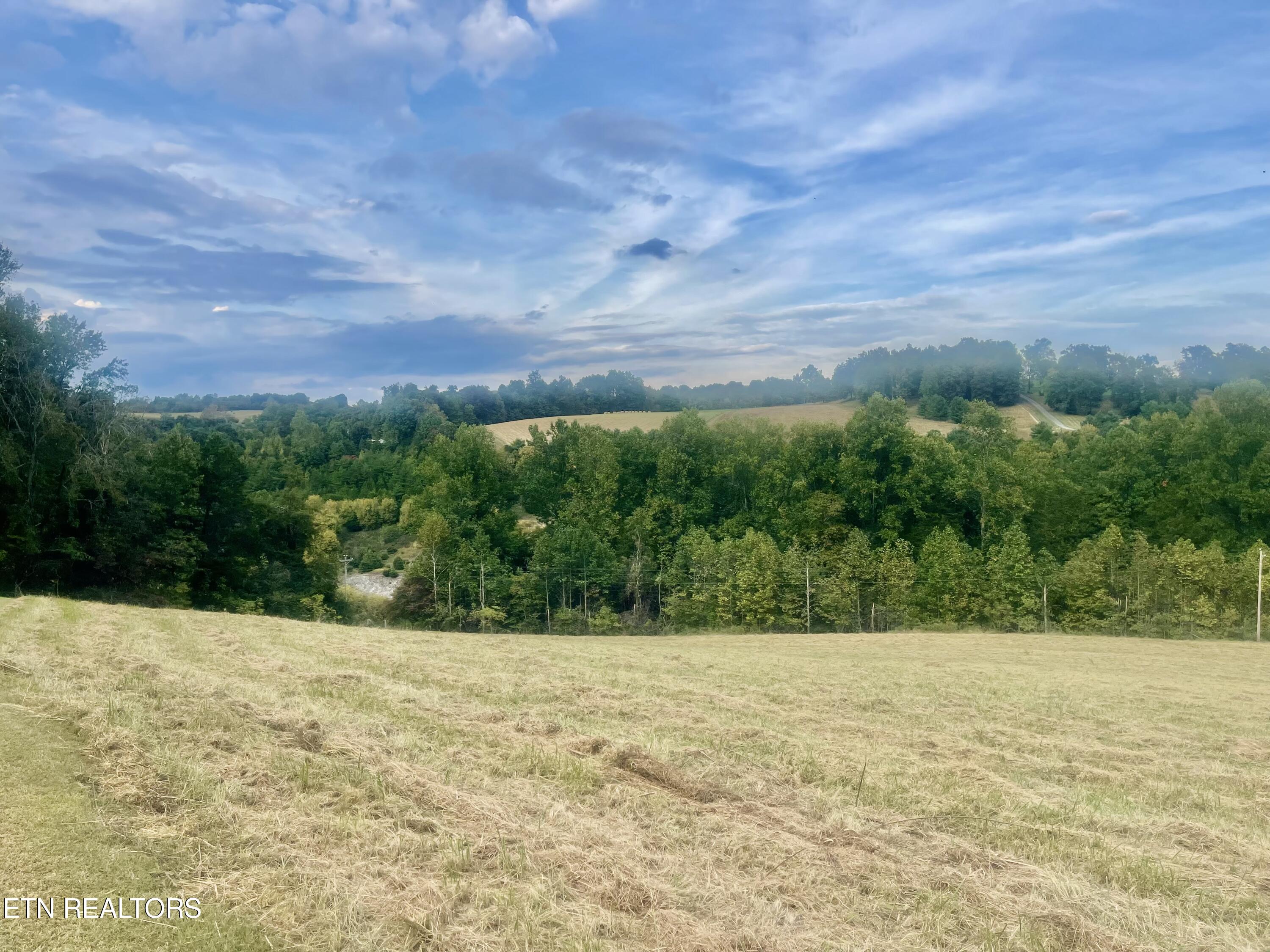 Freeman Road Tazewell TN 37879