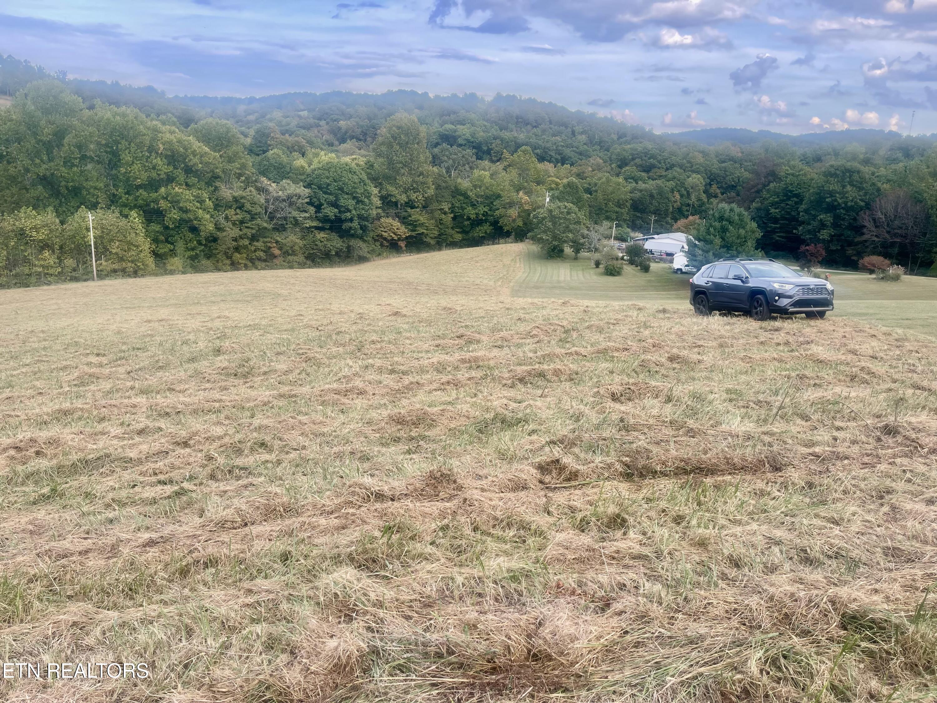 Freeman Road Tazewell TN 37879