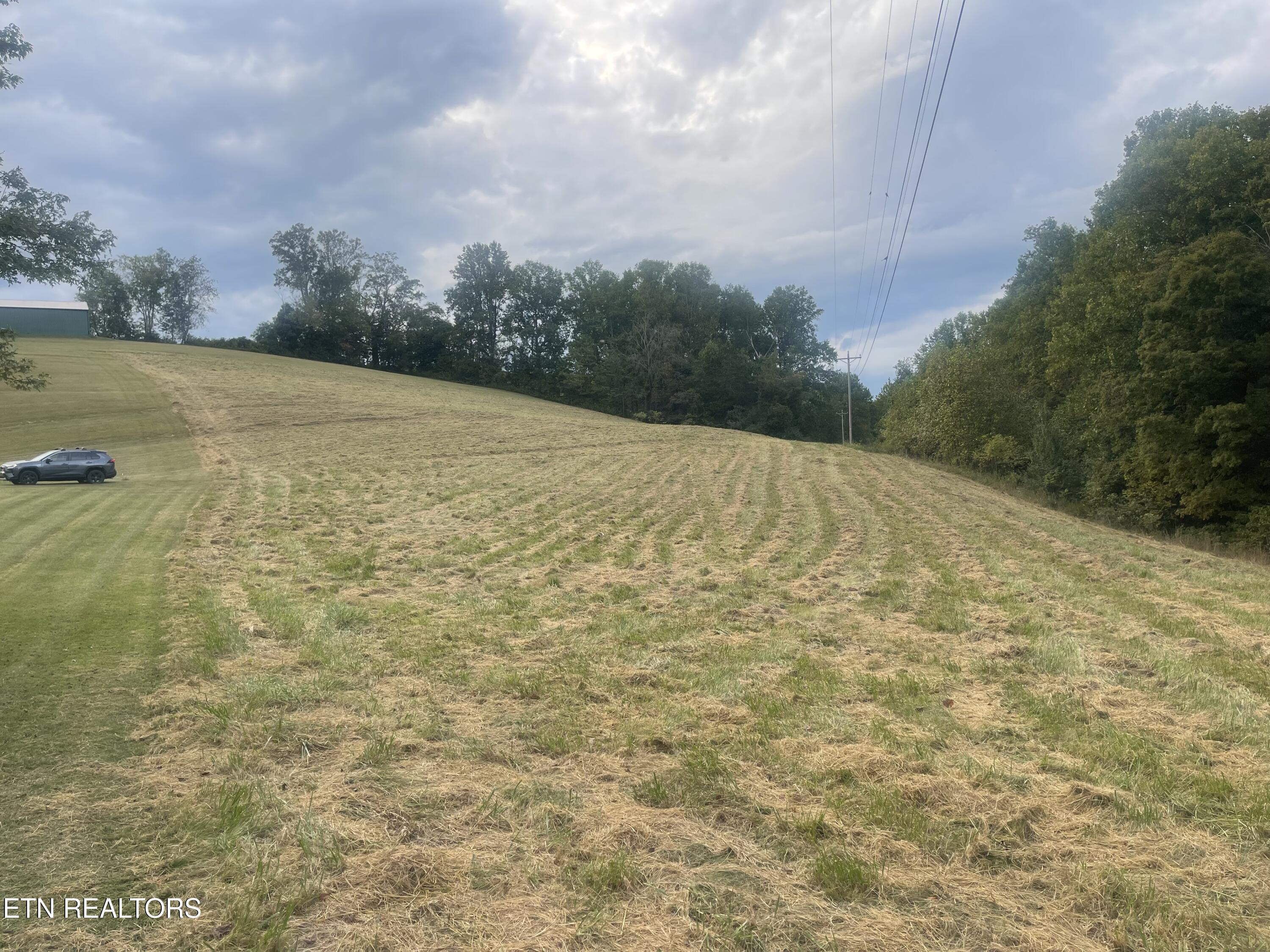 Freeman Road Tazewell TN 37879