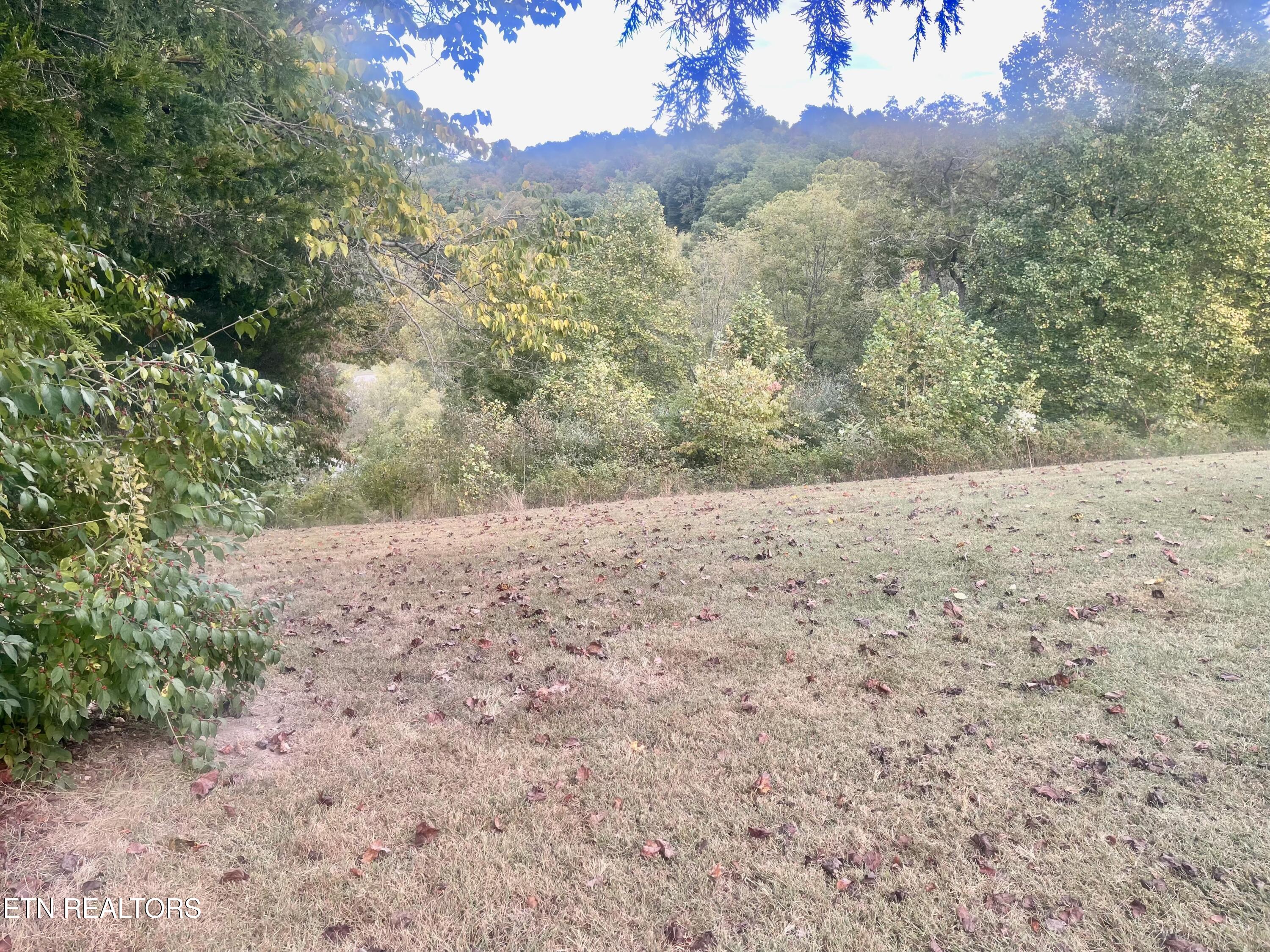 Freeman Road Tazewell TN 37879