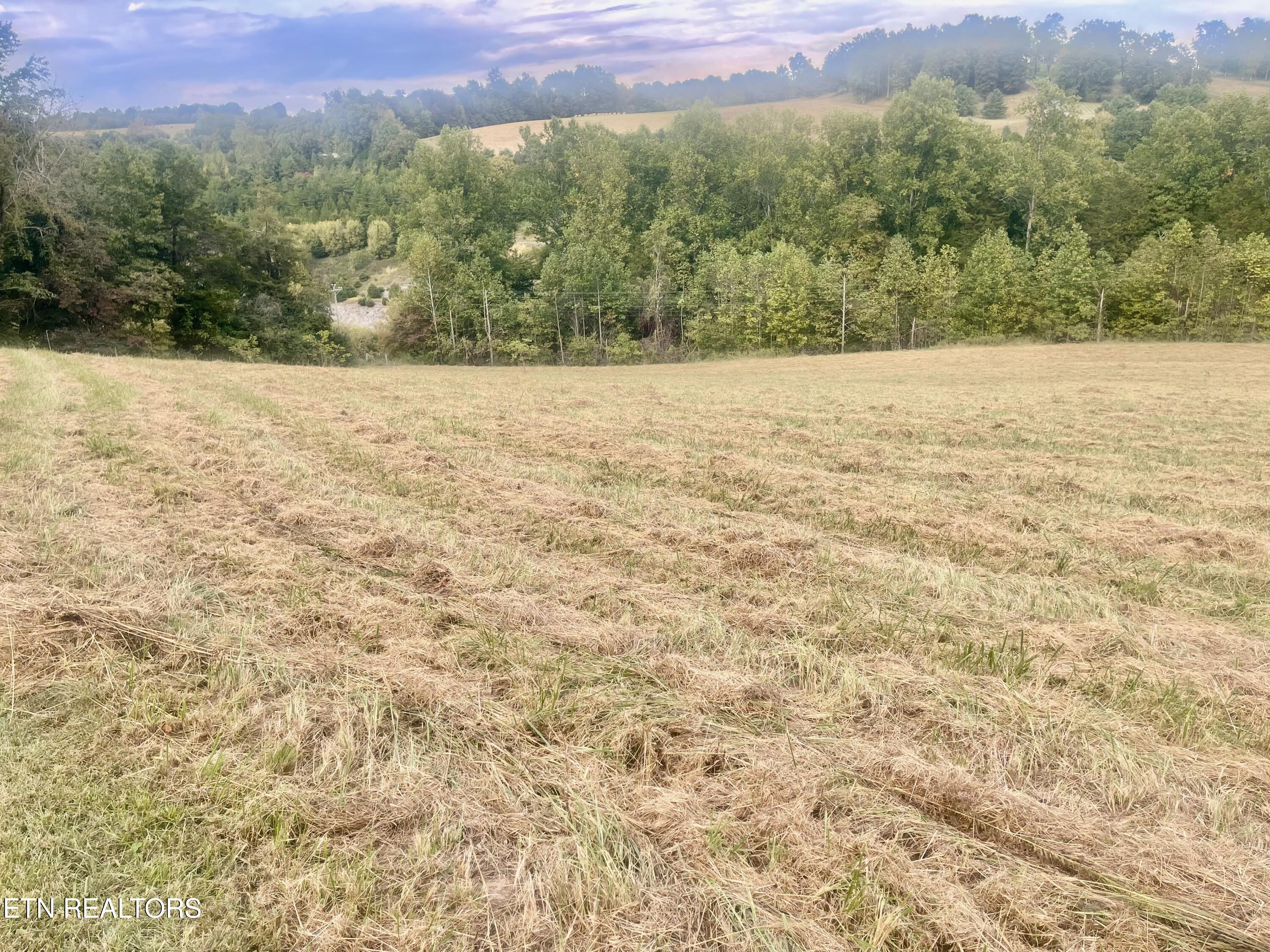 Freeman Road Tazewell TN 37879