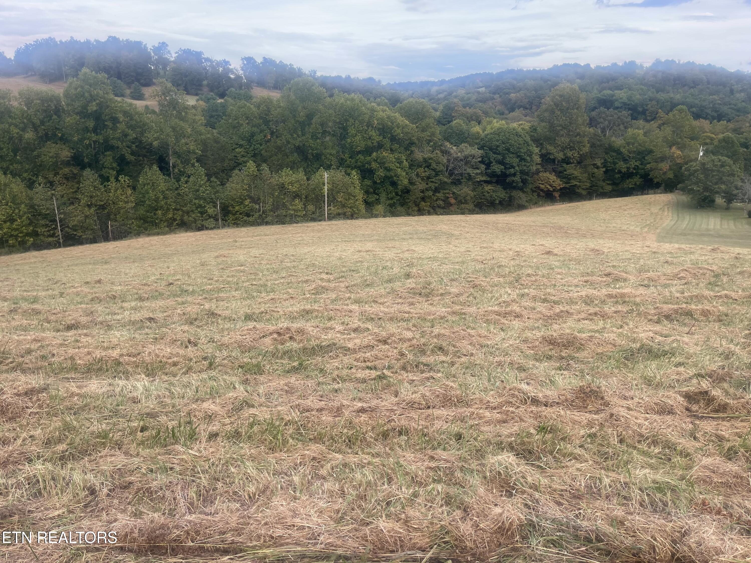 Freeman Road Tazewell TN 37879