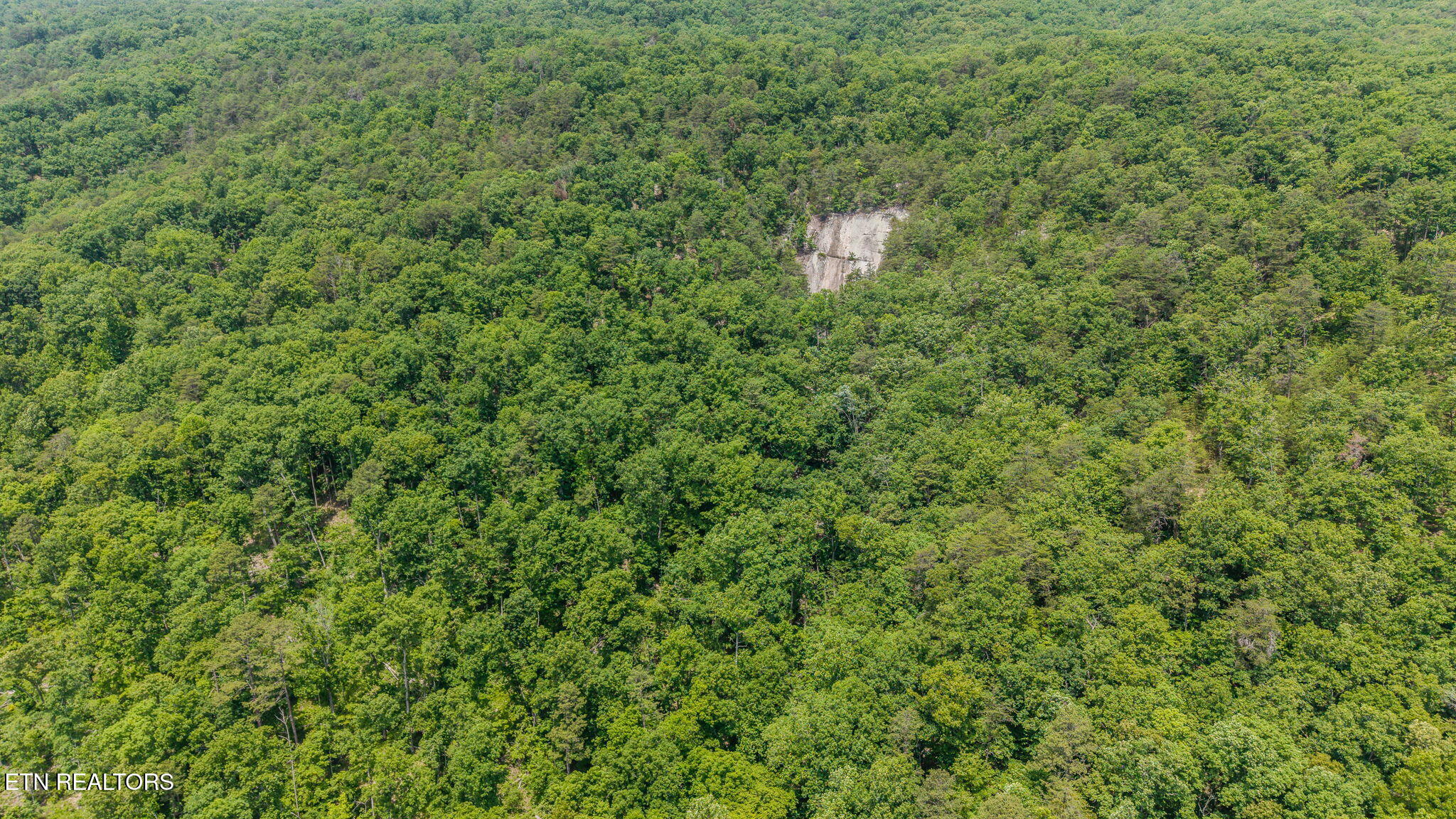 Poor Valley Road Rutledge TN 37861