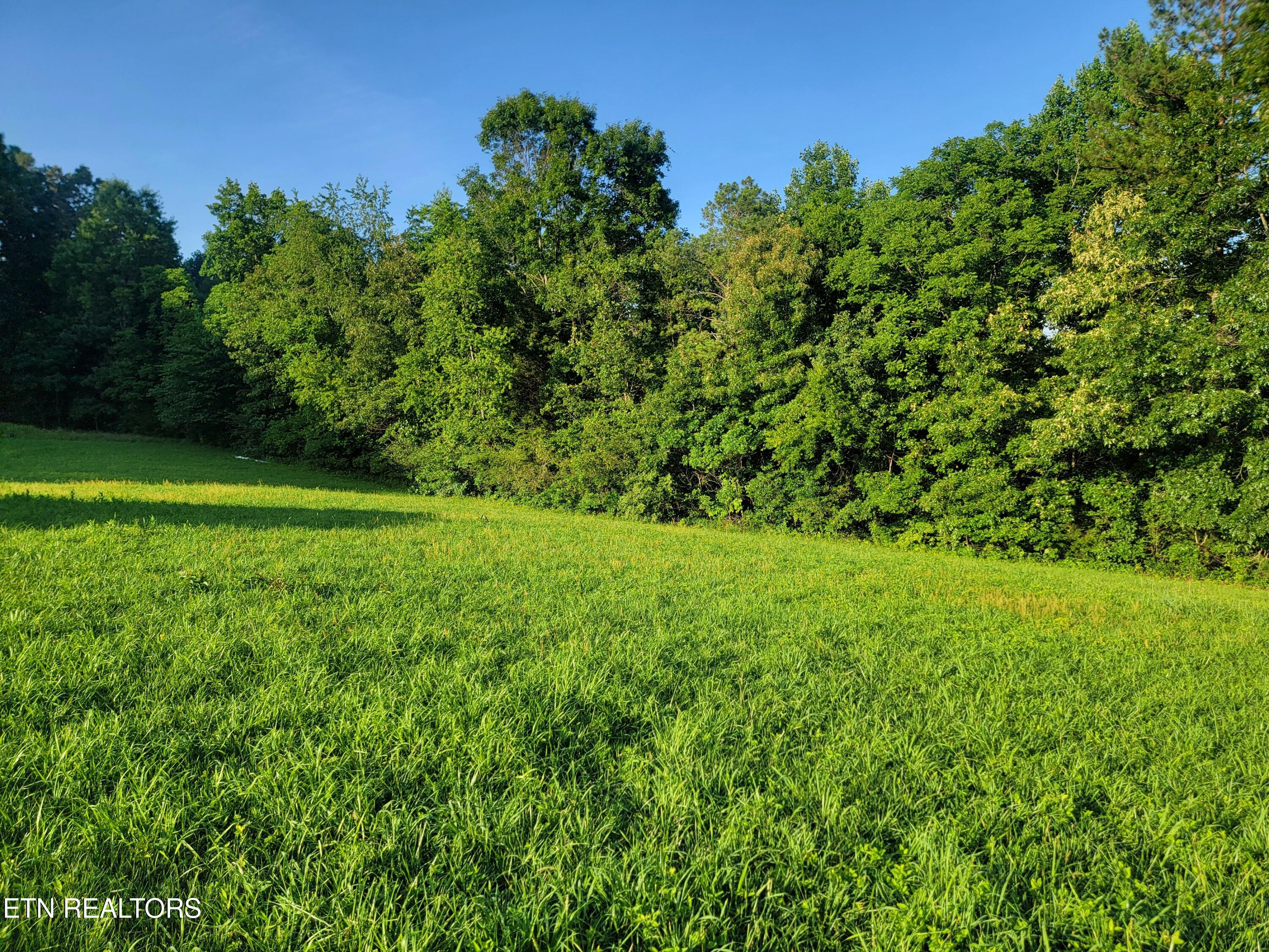 11418 Watkins Road Loudon TN 37774