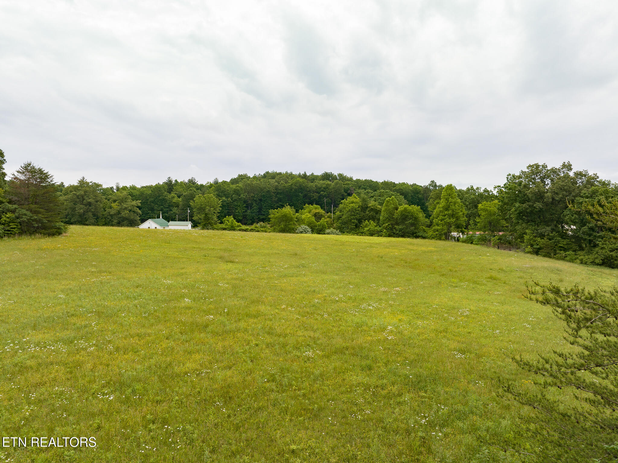 19+ Acres 00 Brewstertown Road Robbins TN 37852