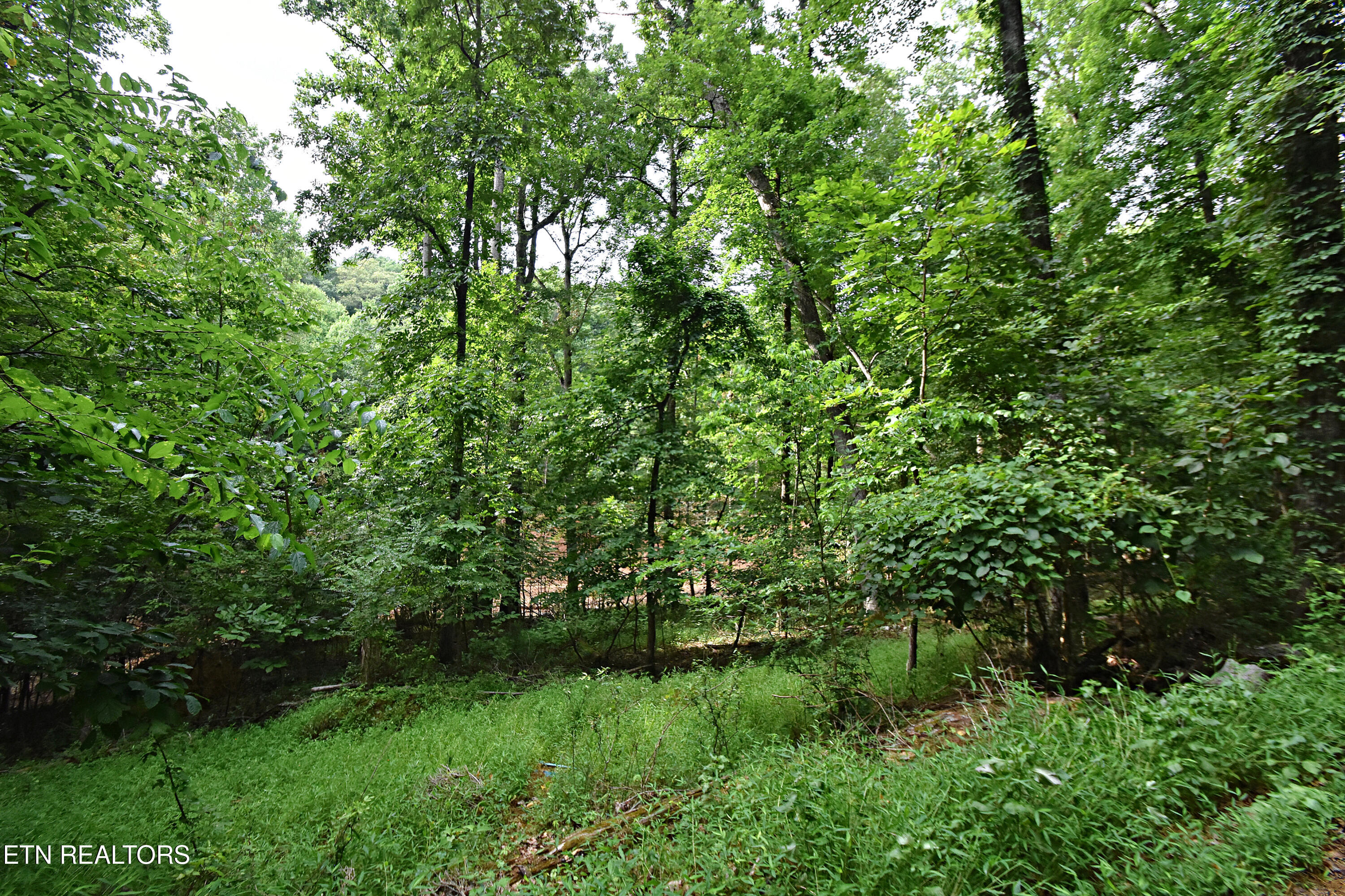 0 Early Road Knoxville TN 37922