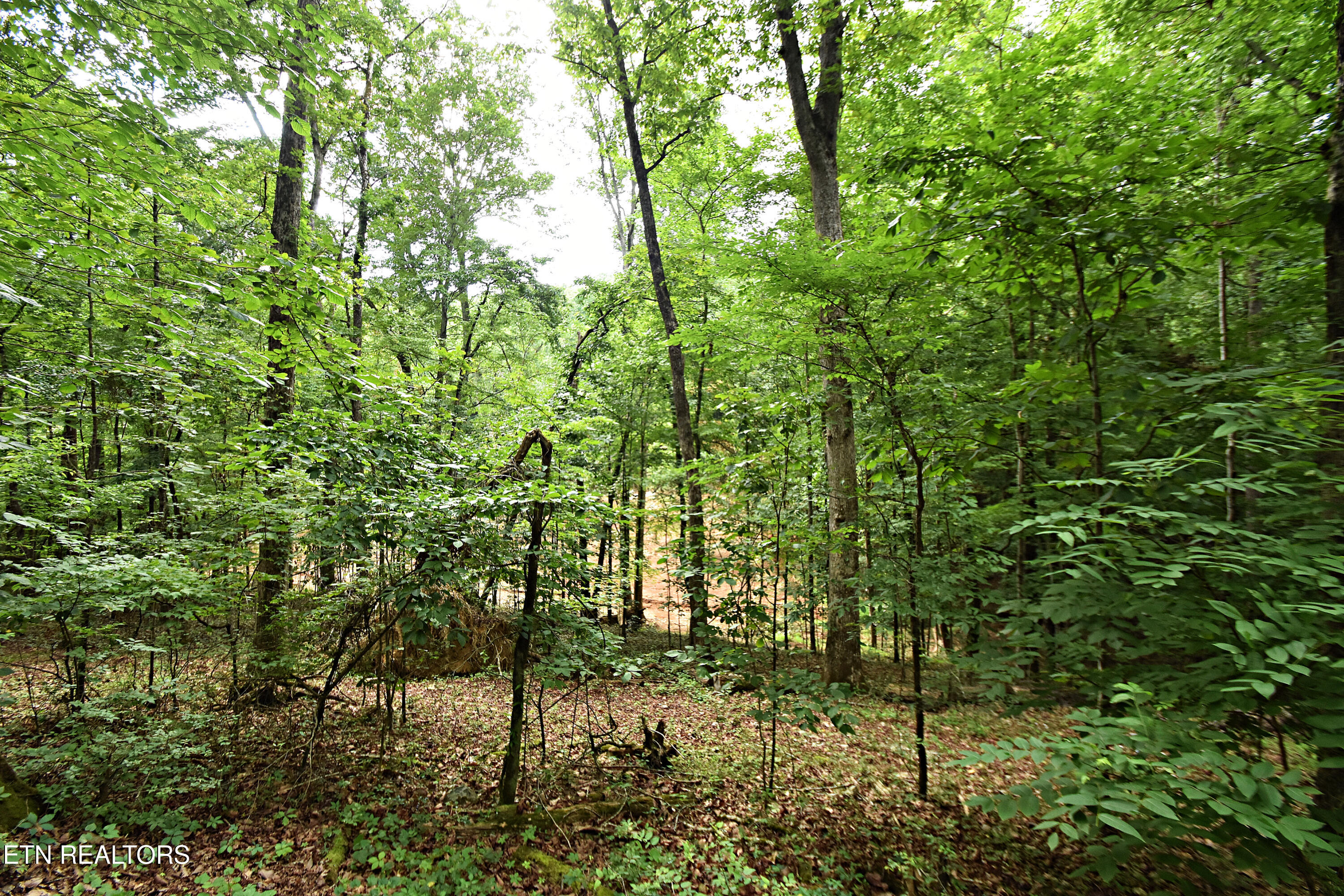 0 Early Road Knoxville TN 37922