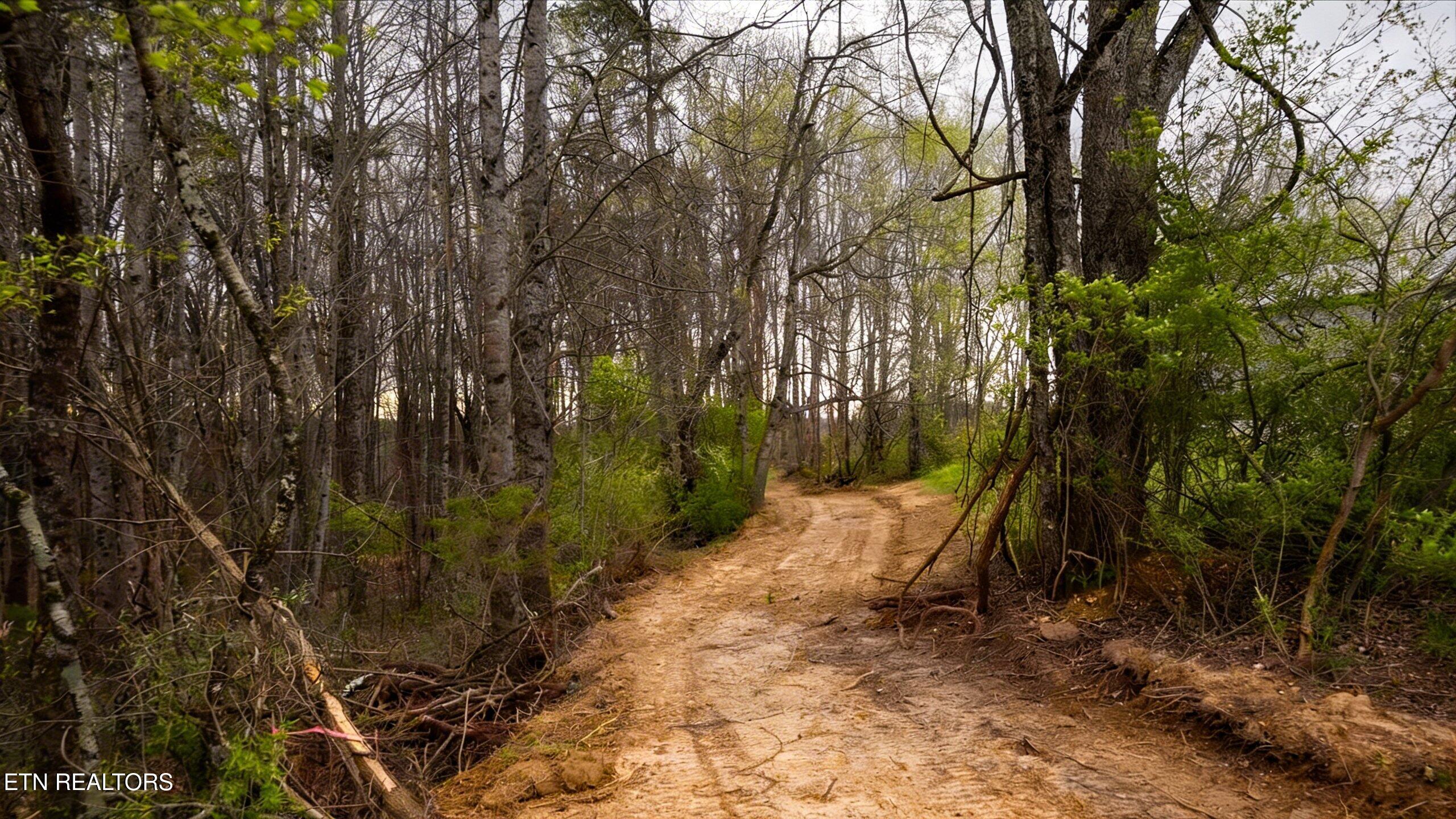 0 Pleasant View Loop Clinton TN 37716