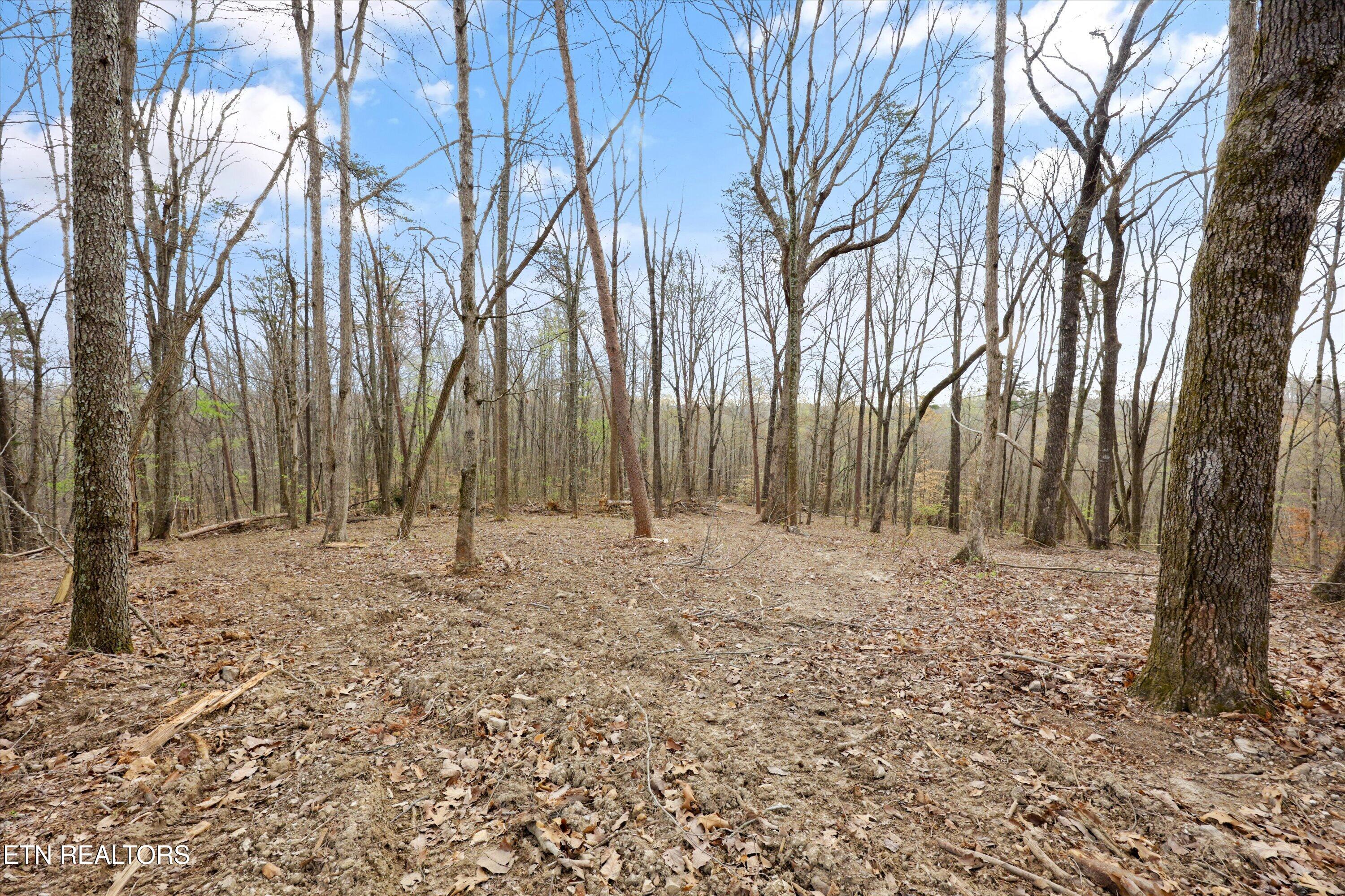 0 Pleasant View Loop Clinton TN 37716