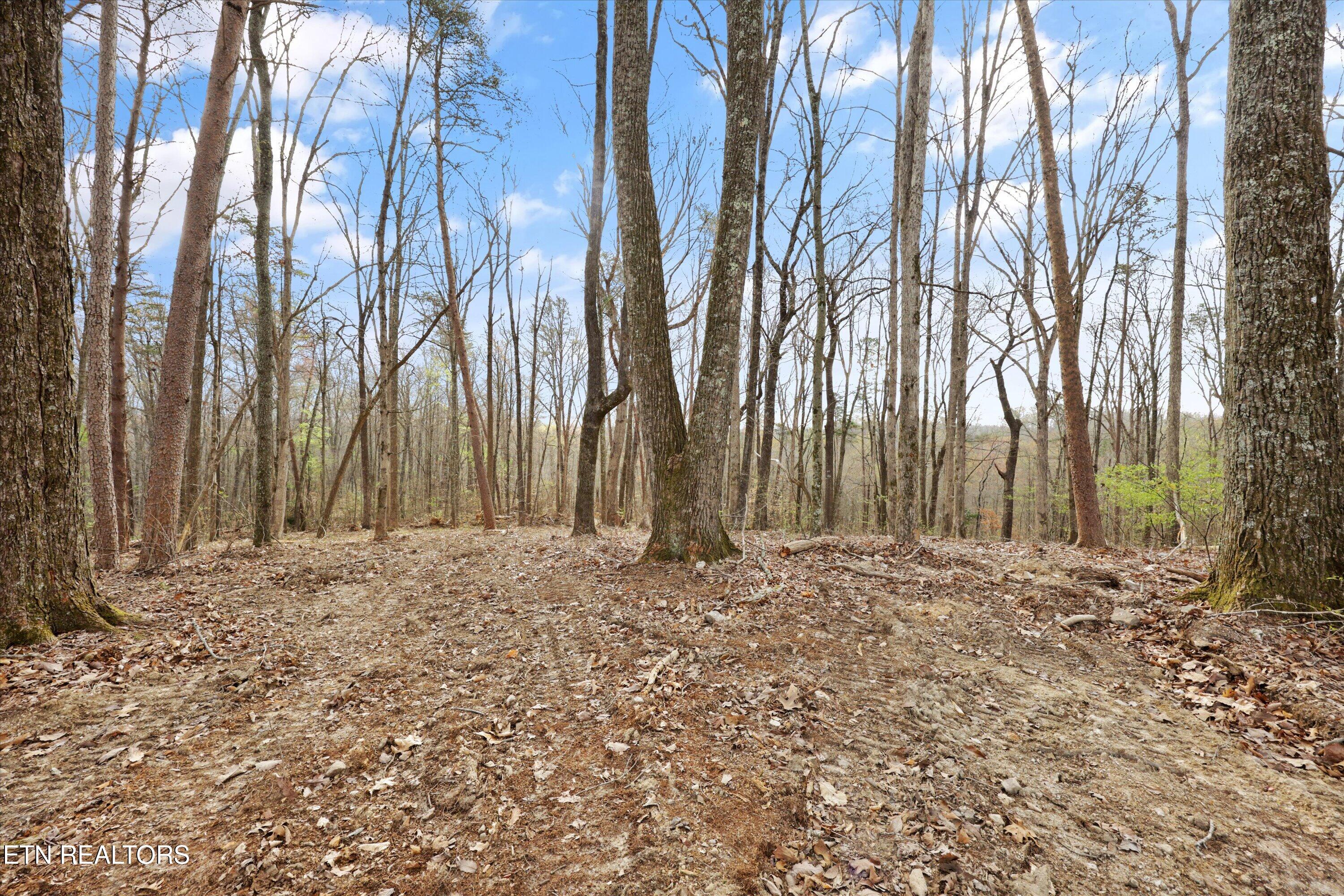 0 Pleasant View Loop Clinton TN 37716