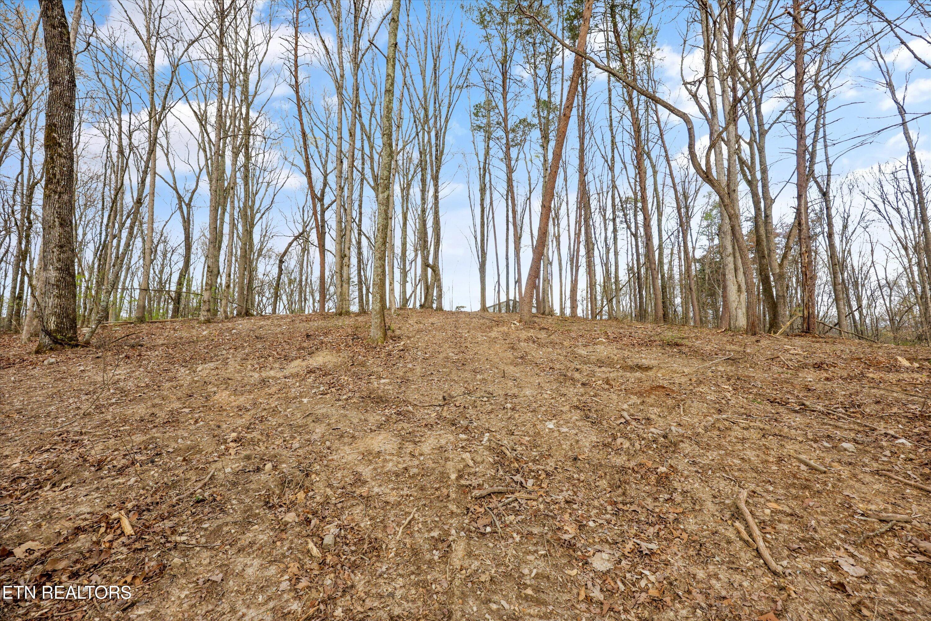 0 Pleasant View Loop Clinton TN 37716