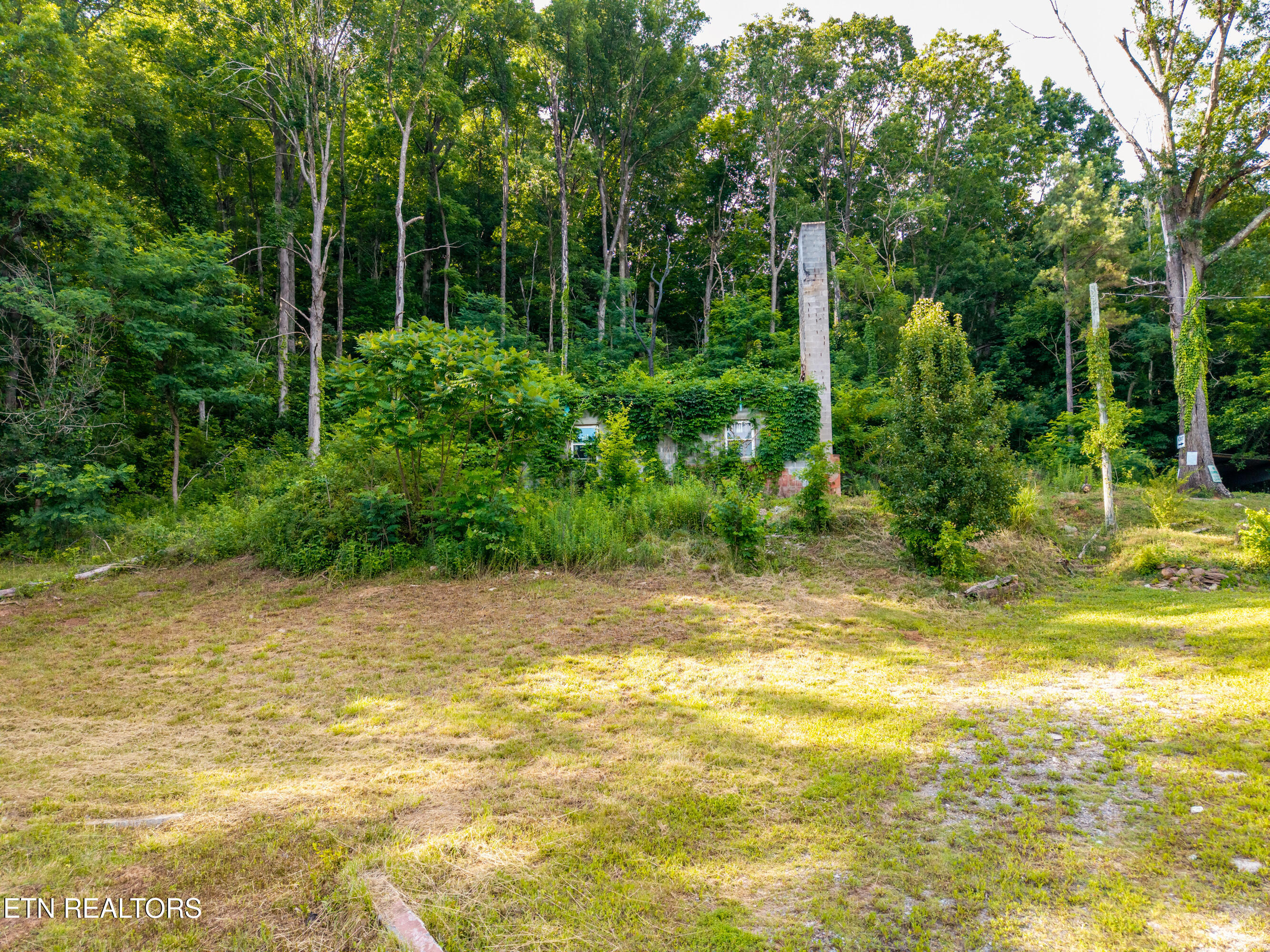 197 County Road 468 Englewood TN 37329