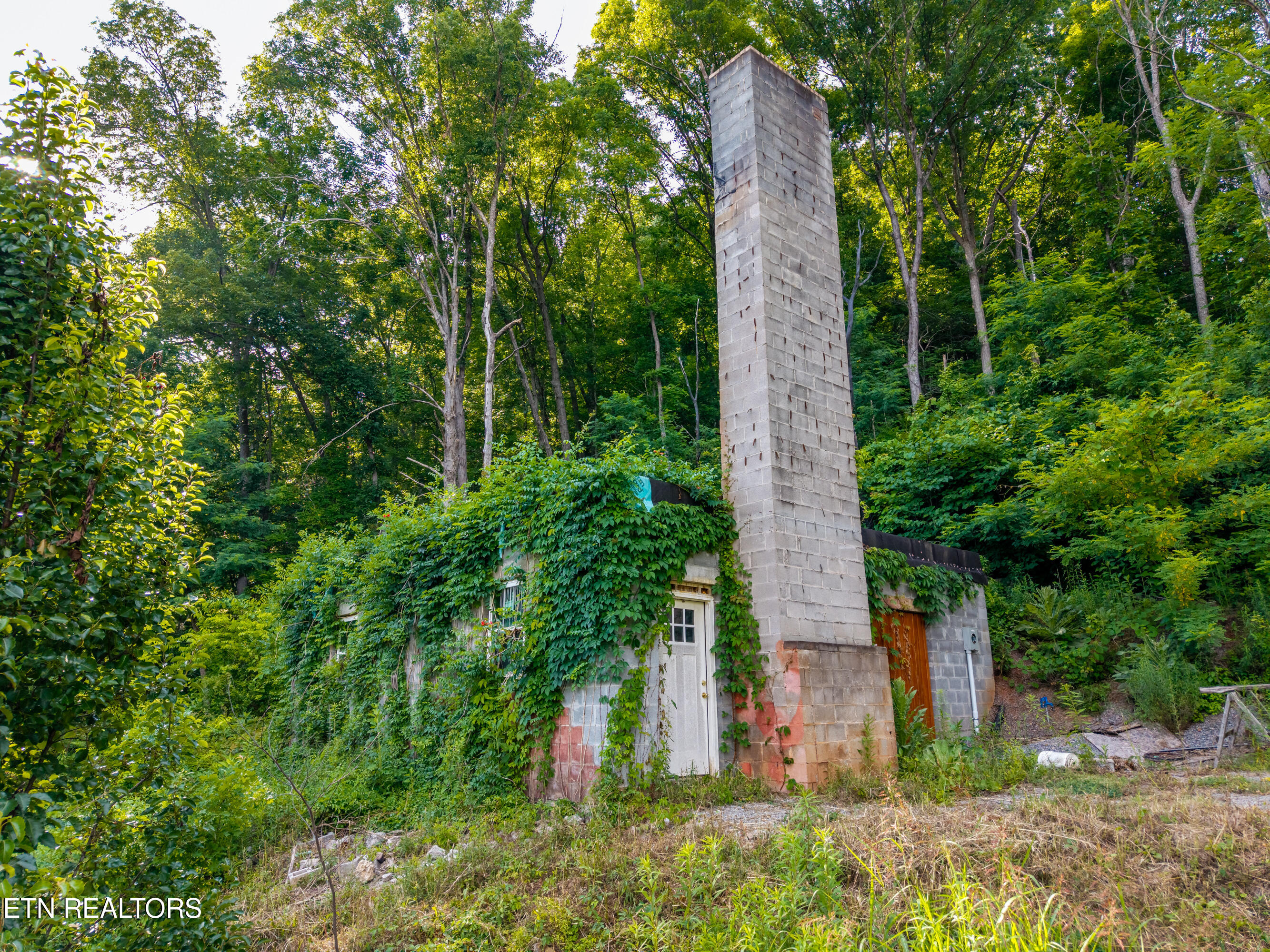 197 County Road 468 Englewood TN 37329