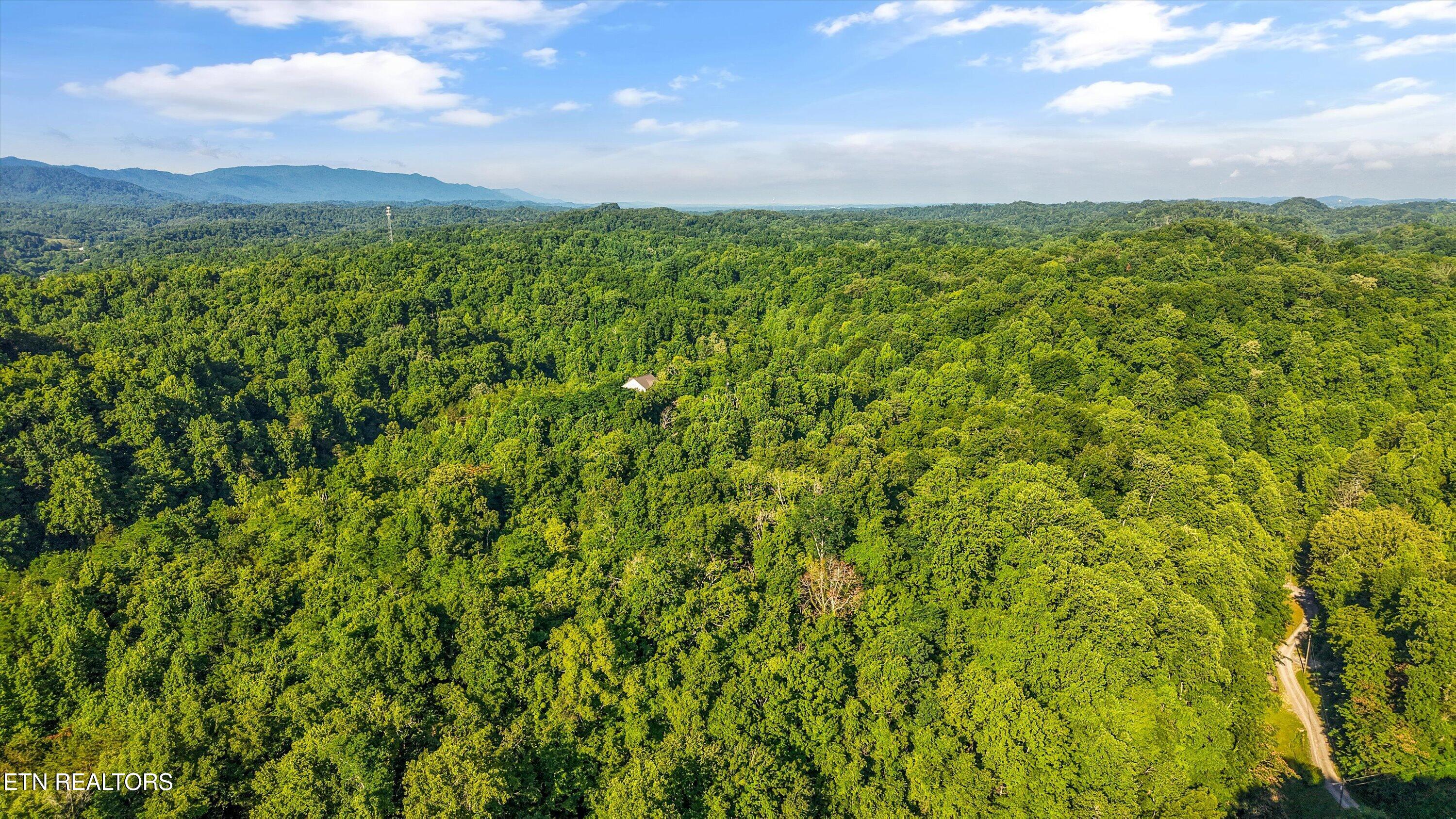 1717 Long Branch Road Seymour TN 37865