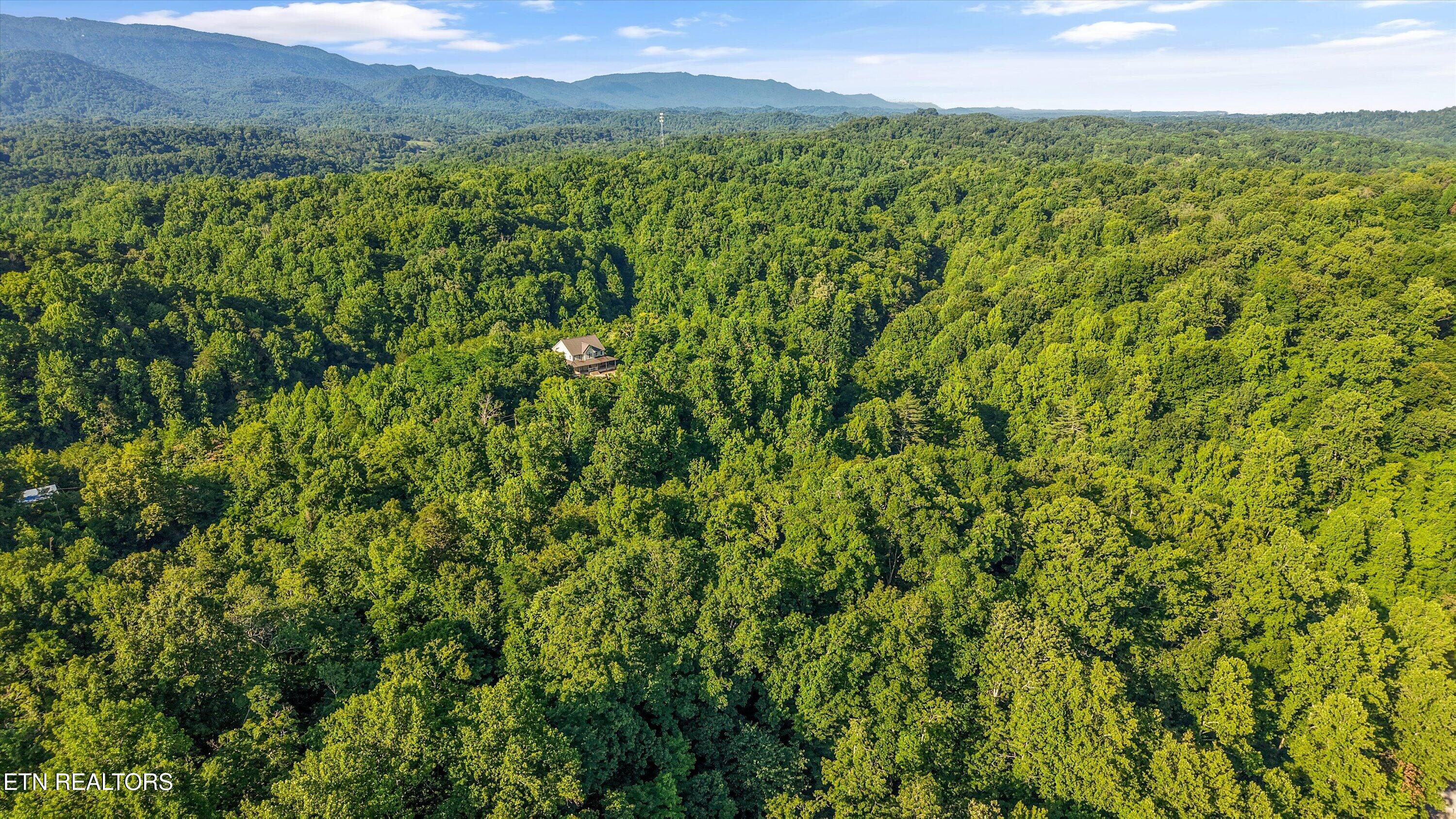 1717 Long Branch Road Seymour TN 37865