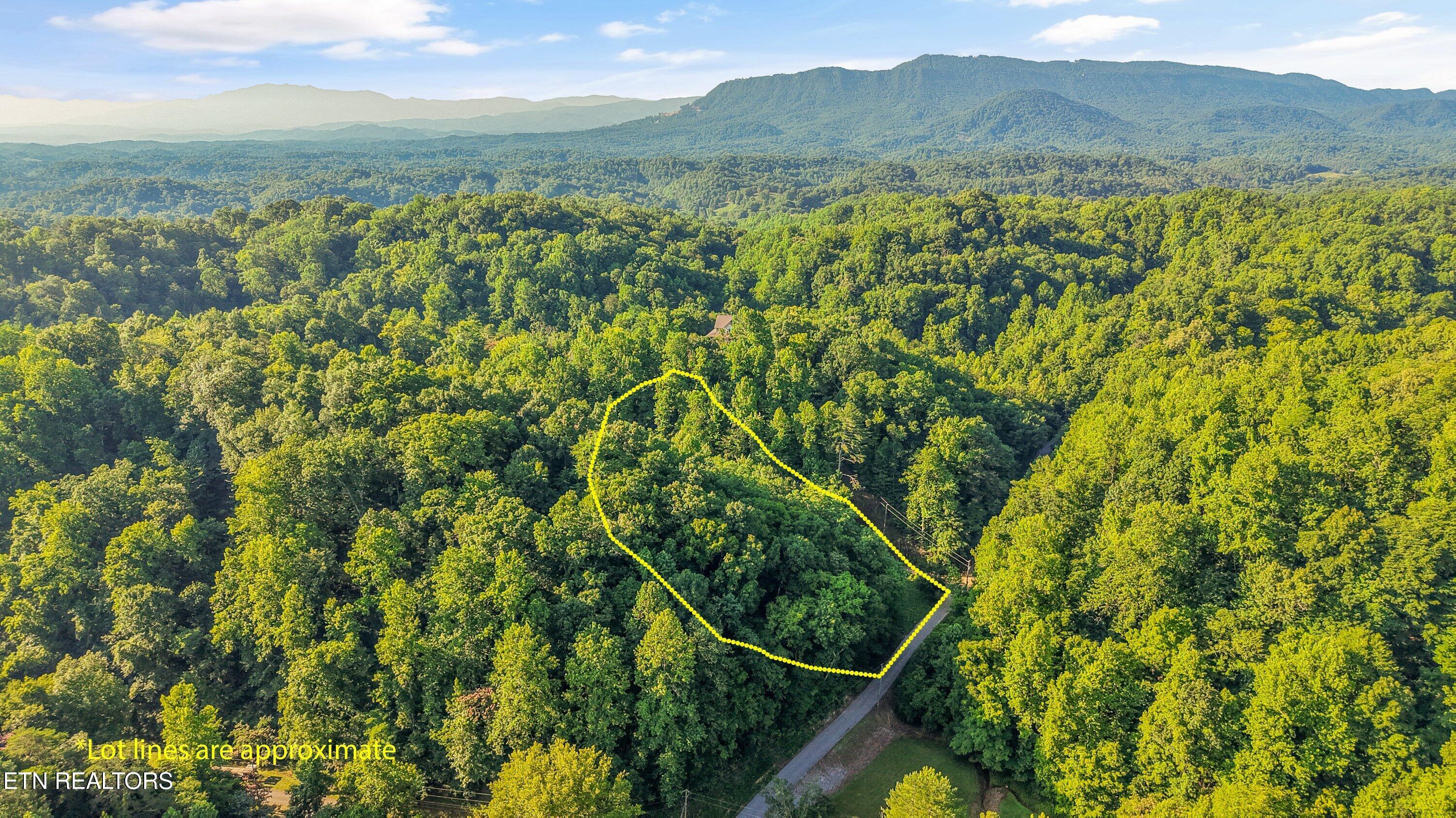 1717 Long Branch Road Seymour TN 37865