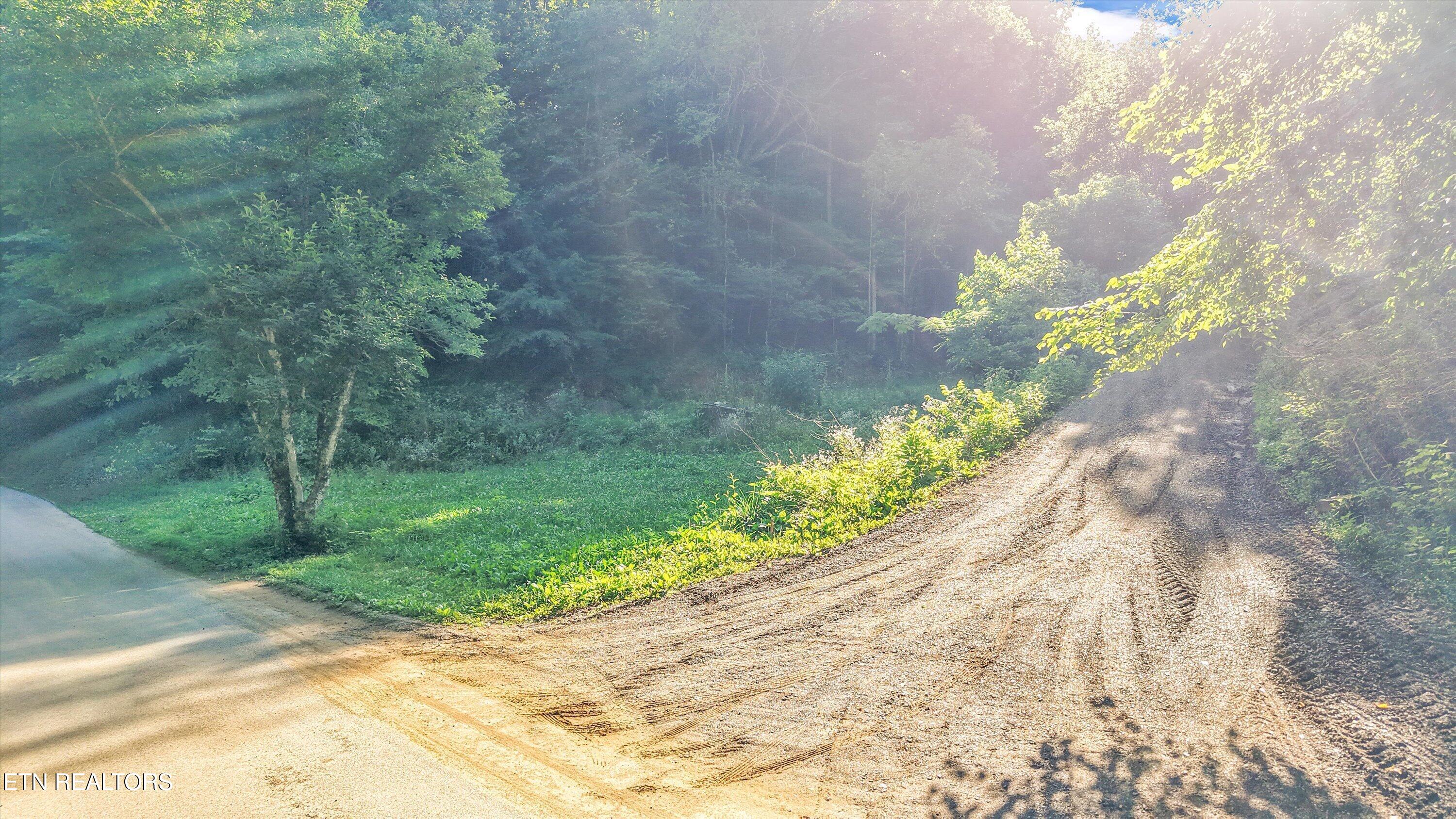 1717 Long Branch Road Seymour TN 37865