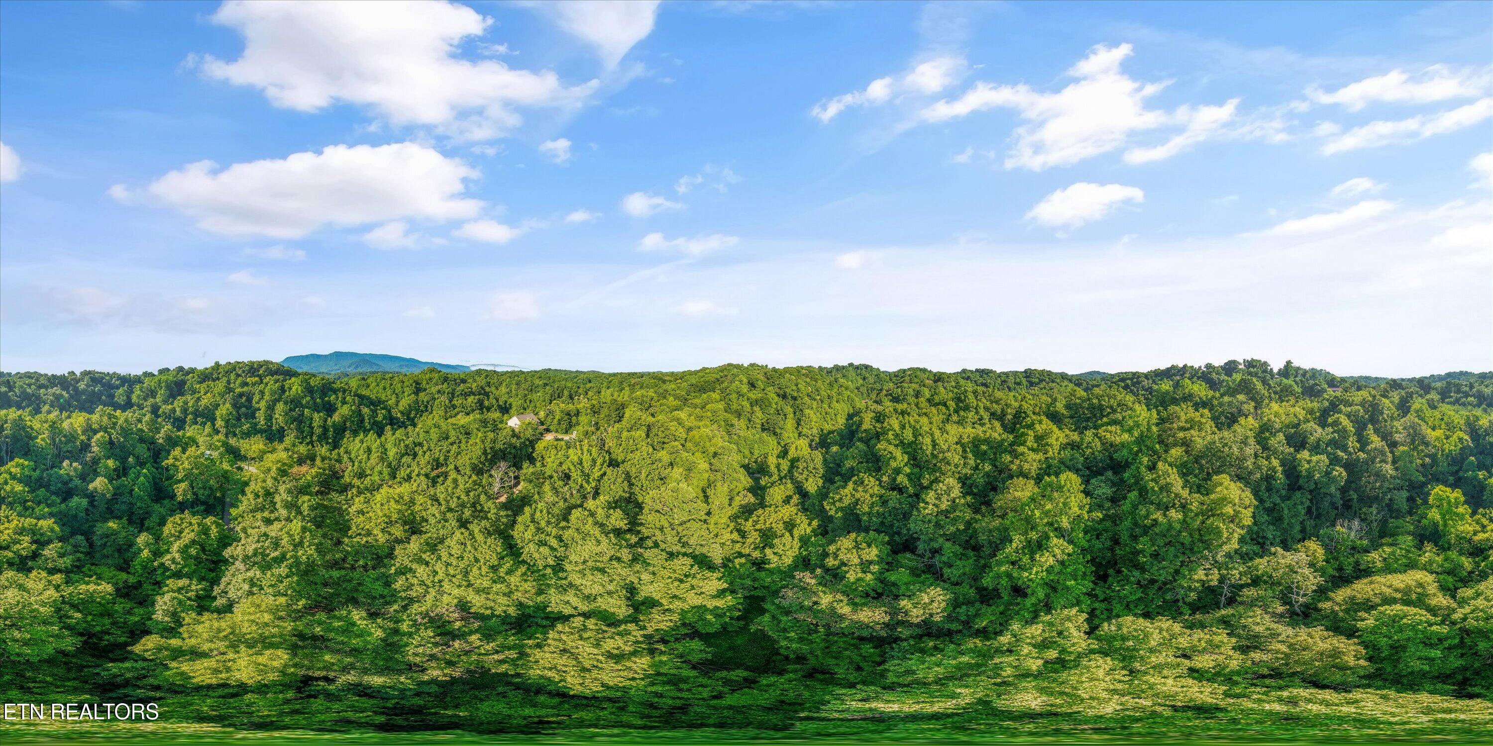 1717 Long Branch Road Seymour TN 37865