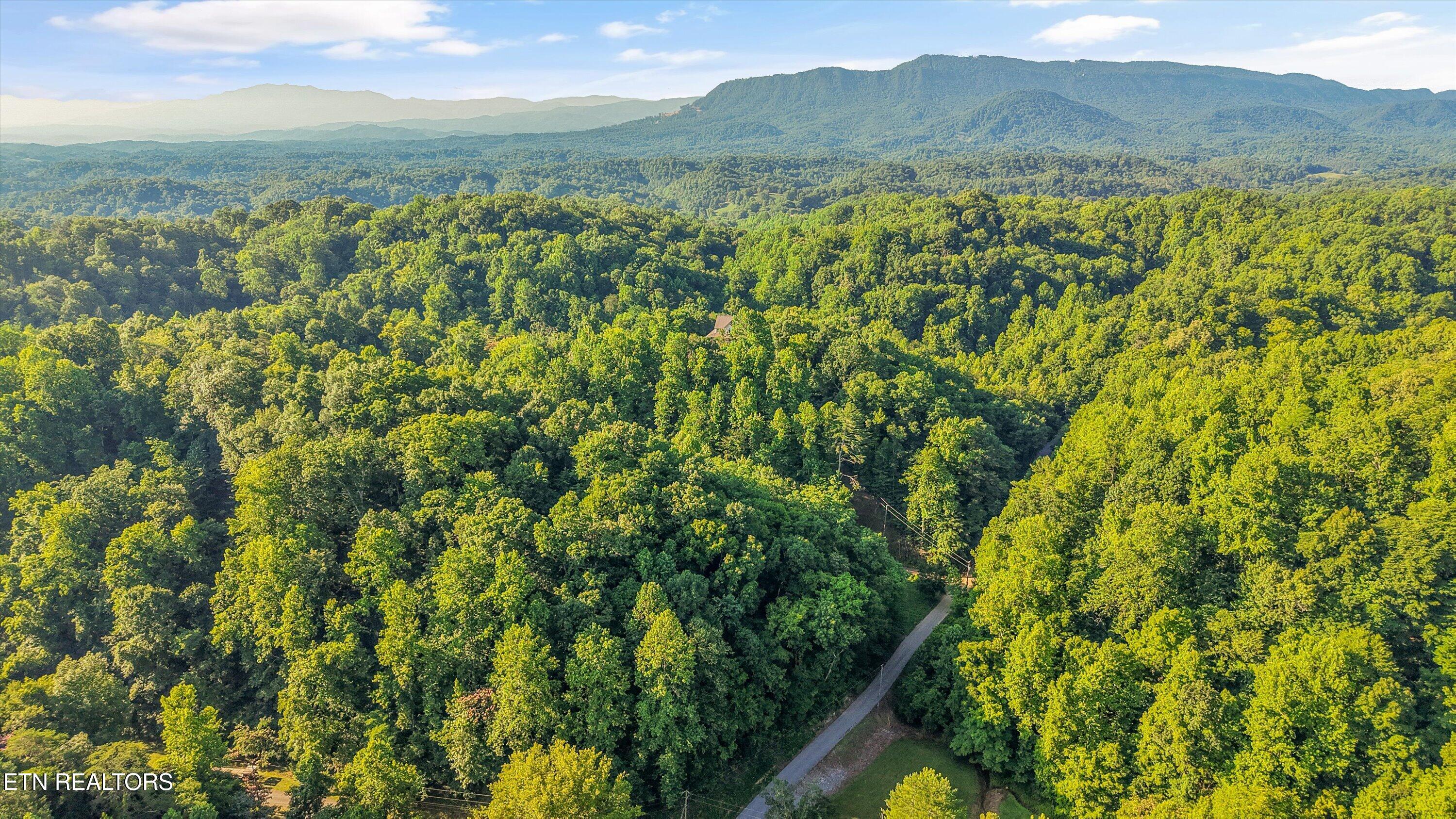 1717 Long Branch Road Seymour TN 37865