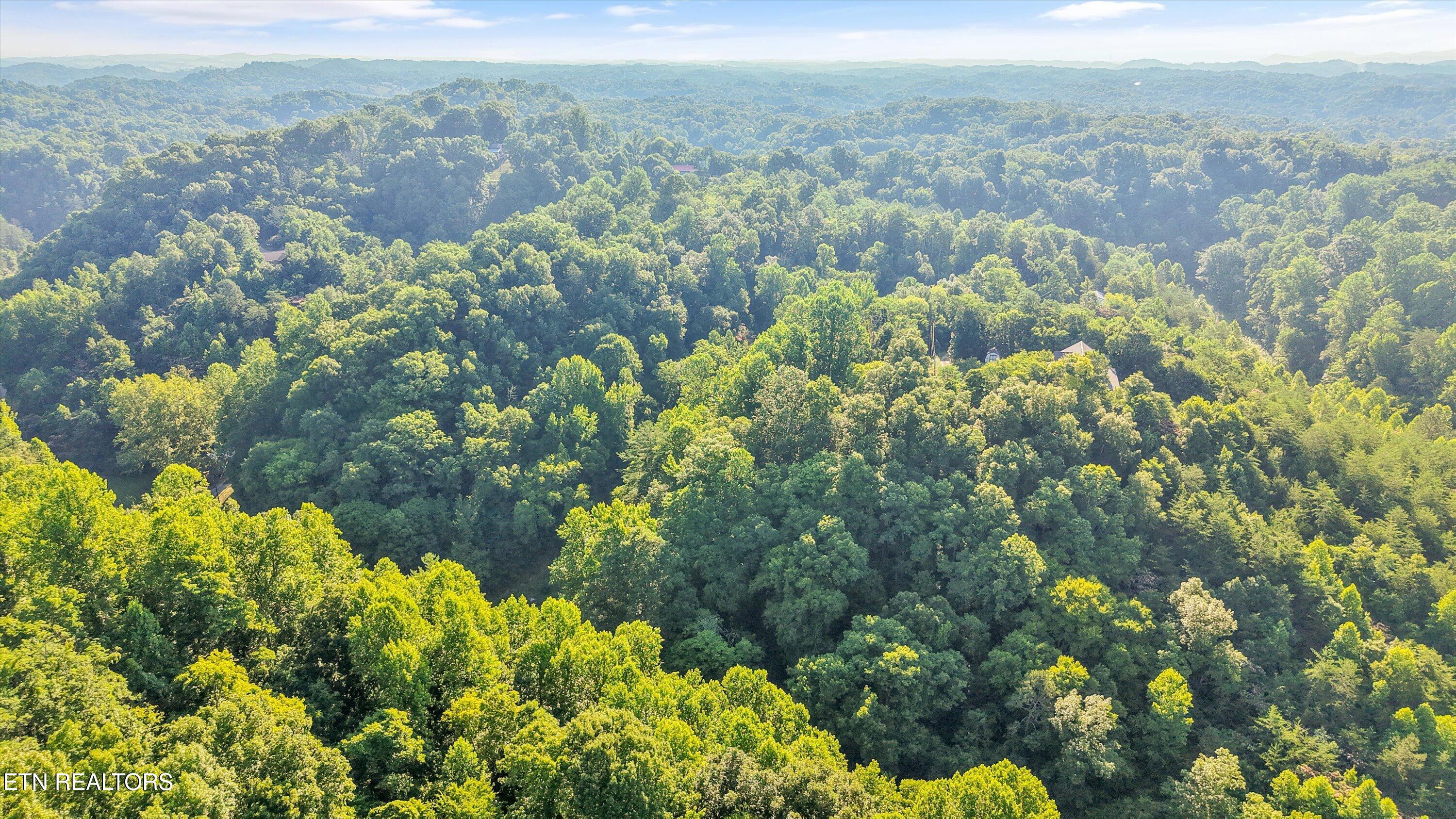 1717 Long Branch Road Seymour TN 37865