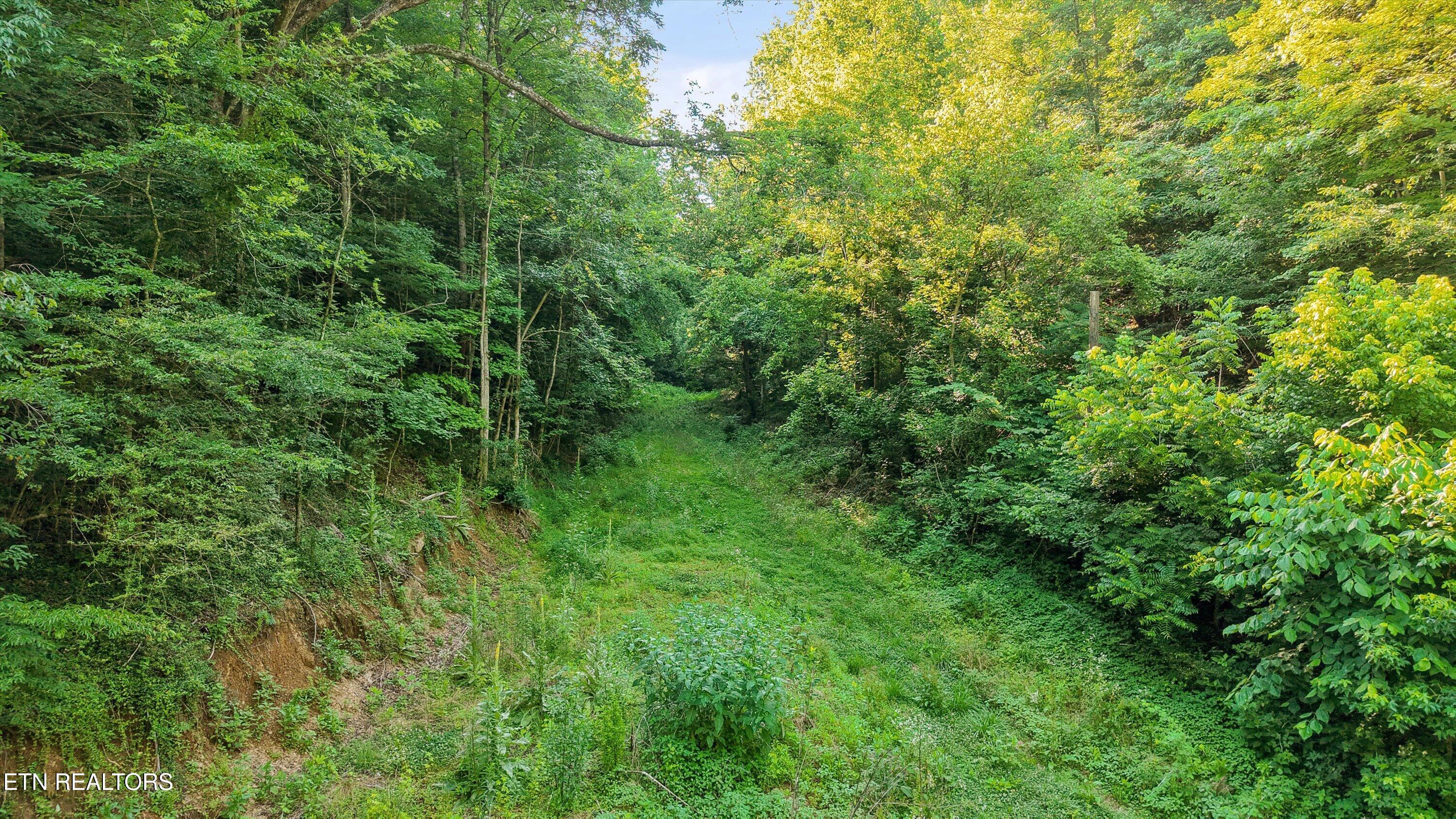 1717 Long Branch Road Seymour TN 37865