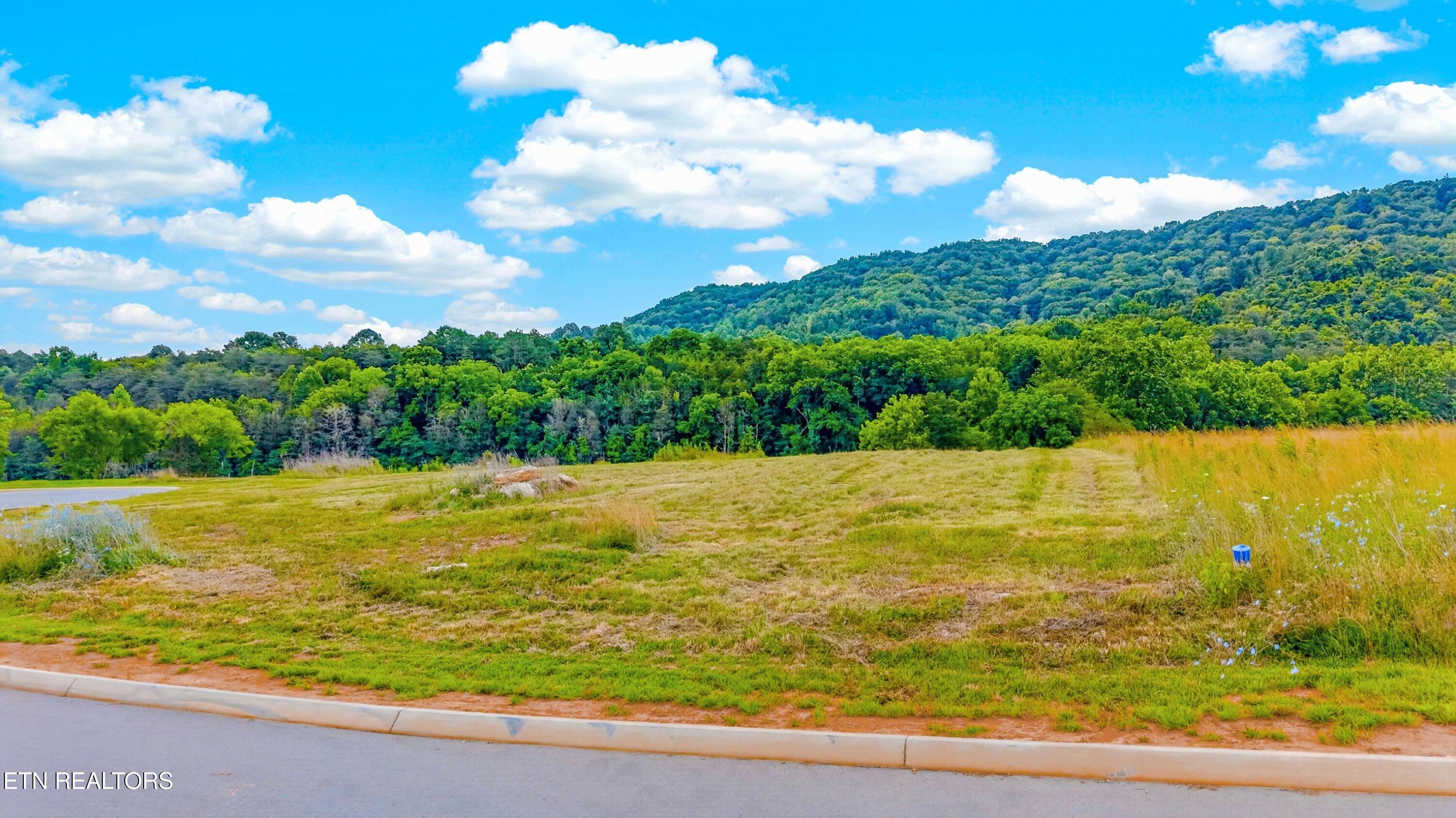 Lots 20 & 21 Waterfront Knoll Sharps Chapel TN 37866