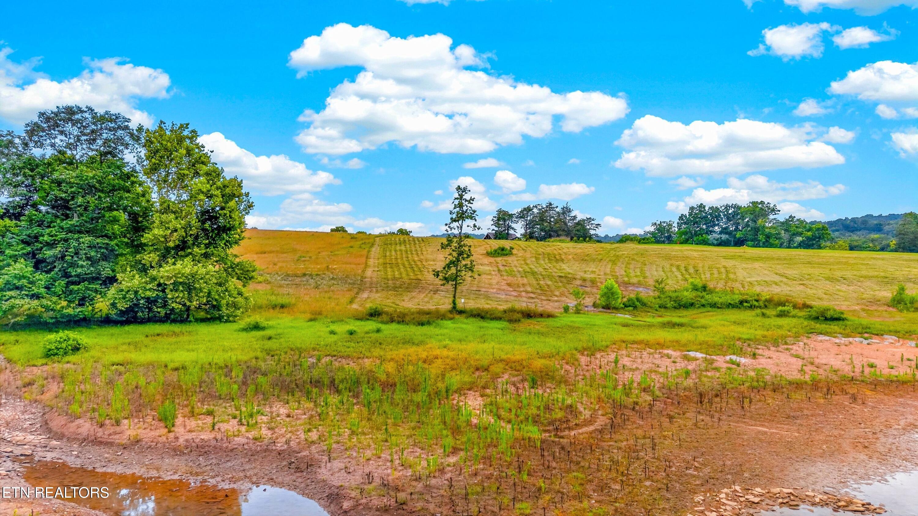Lots 20 & 21 Waterfront Knoll Sharps Chapel TN 37866