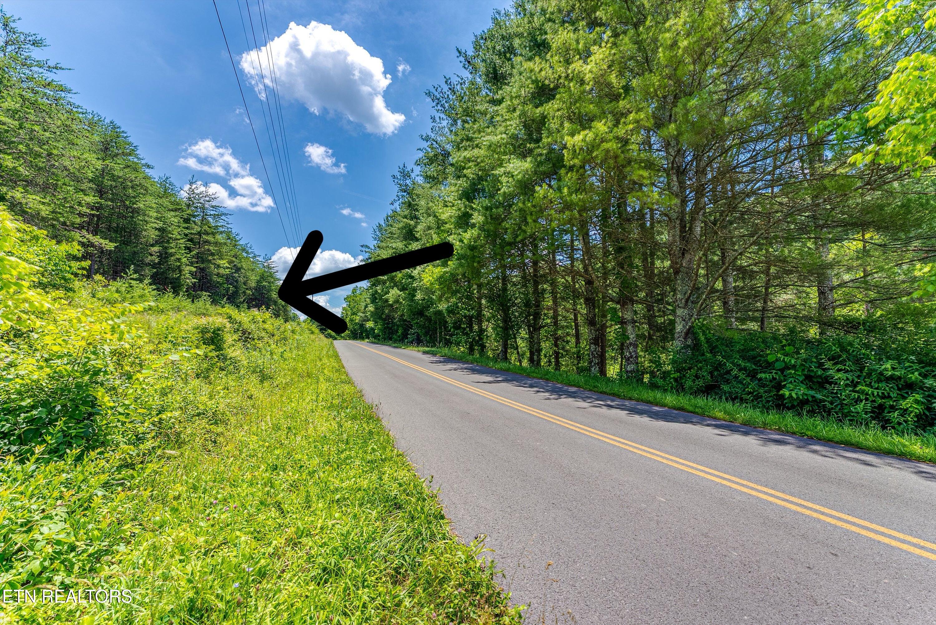2165 Smelcer Road Parrottsville TN 37843