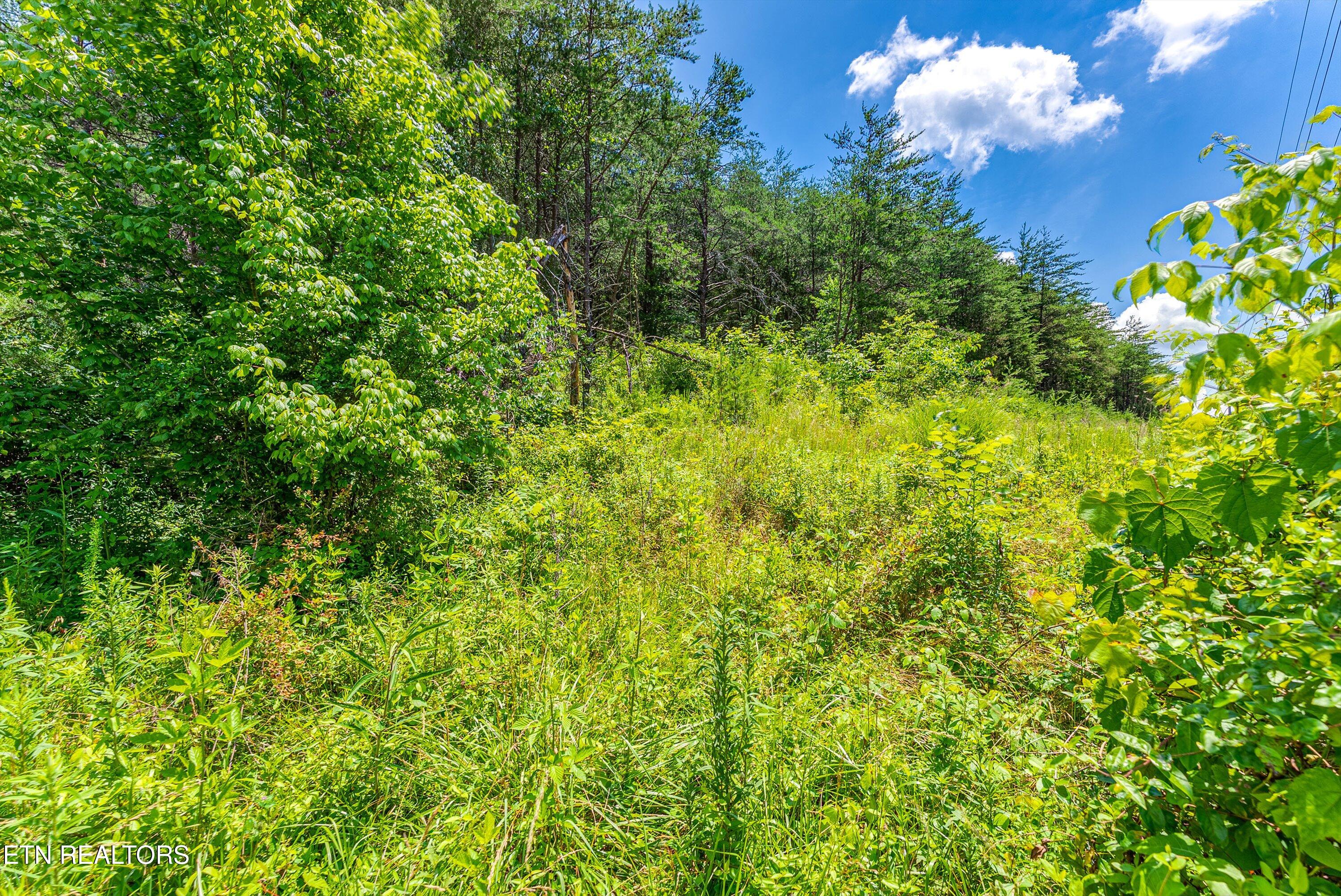 2165 Smelcer Road Parrottsville TN 37843