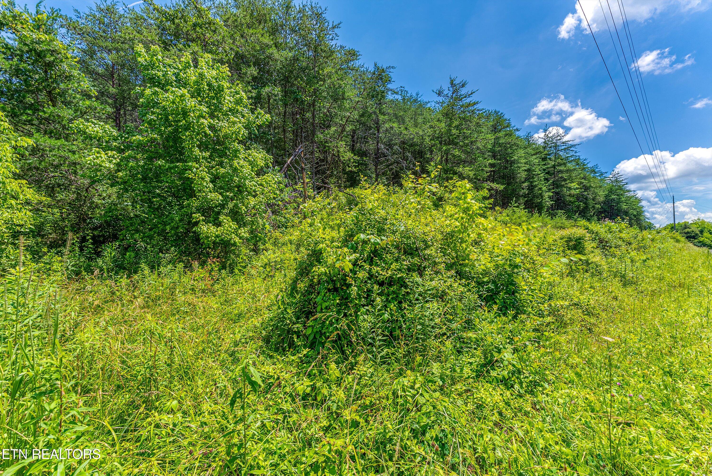 2165 Smelcer Road Parrottsville TN 37843