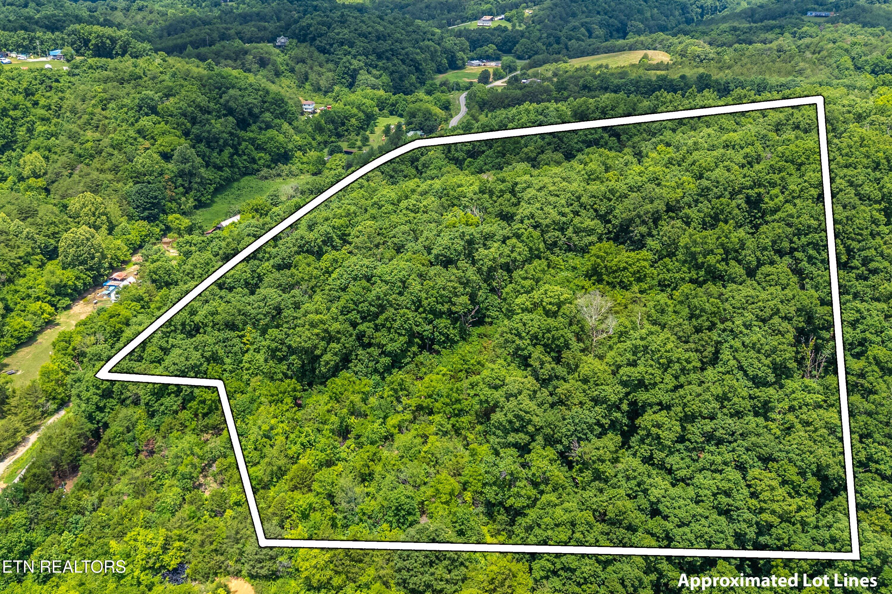 2165 Smelcer Road Parrottsville TN 37843